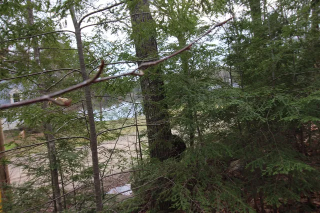 $80,000 | Lot 19-17 Northeast Pond Road, Unit 1917, Milton, NH 03851