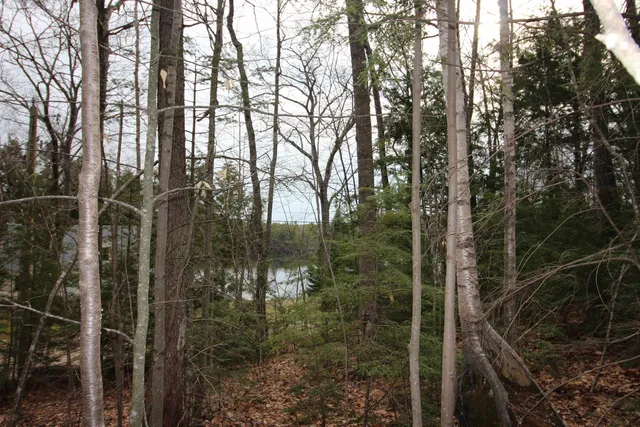 $80,000 | Lot 19-17 Northeast Pond Road, Unit 1917, Milton, NH 03851