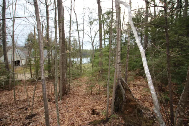 $80,000 | Lot 19-17 Northeast Pond Road, Unit 1917, Milton, NH 03851