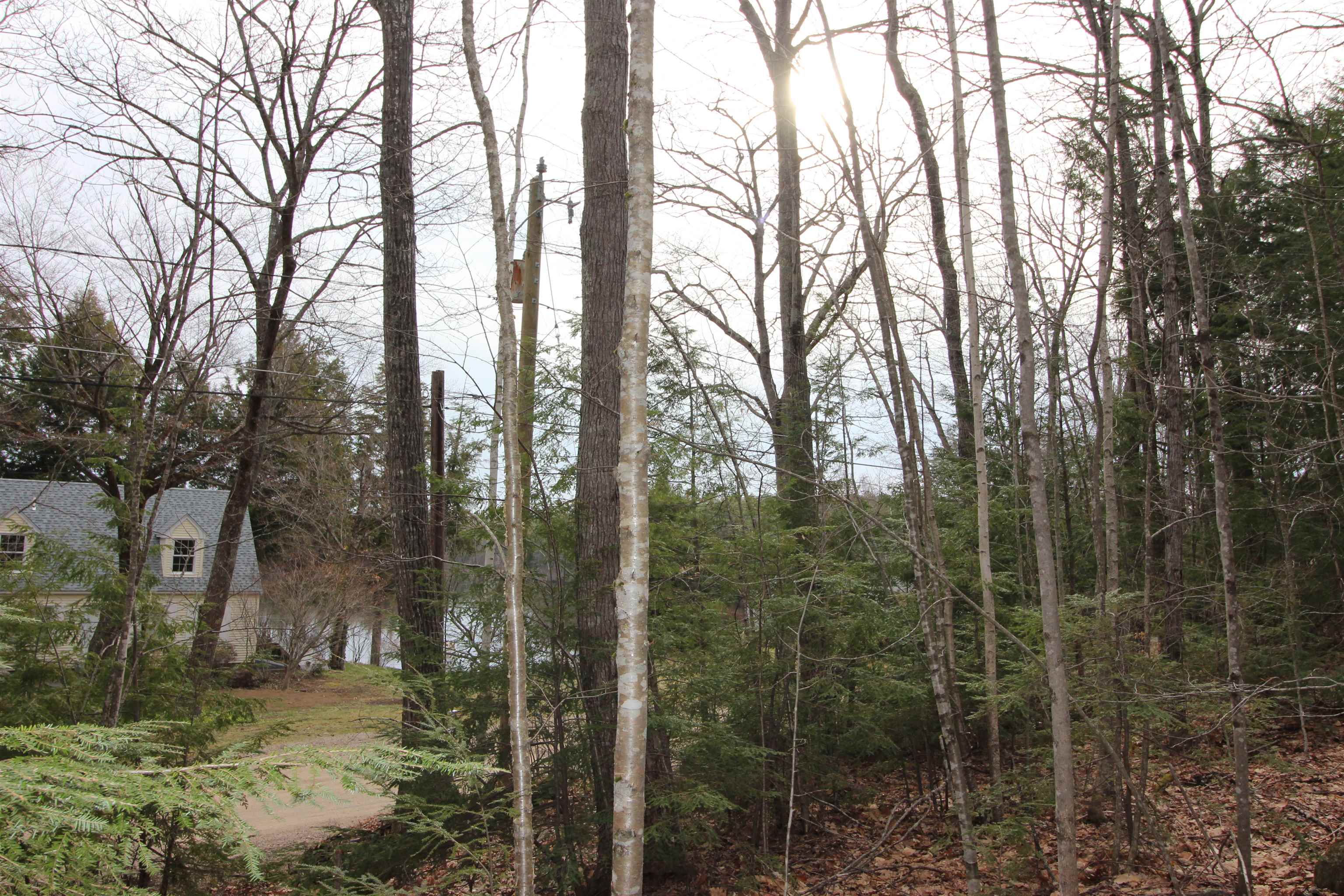 Lot 19-17 Northeast Pond Road, Unit 1917 Milton, NH 03851 - Photo 6 of 7