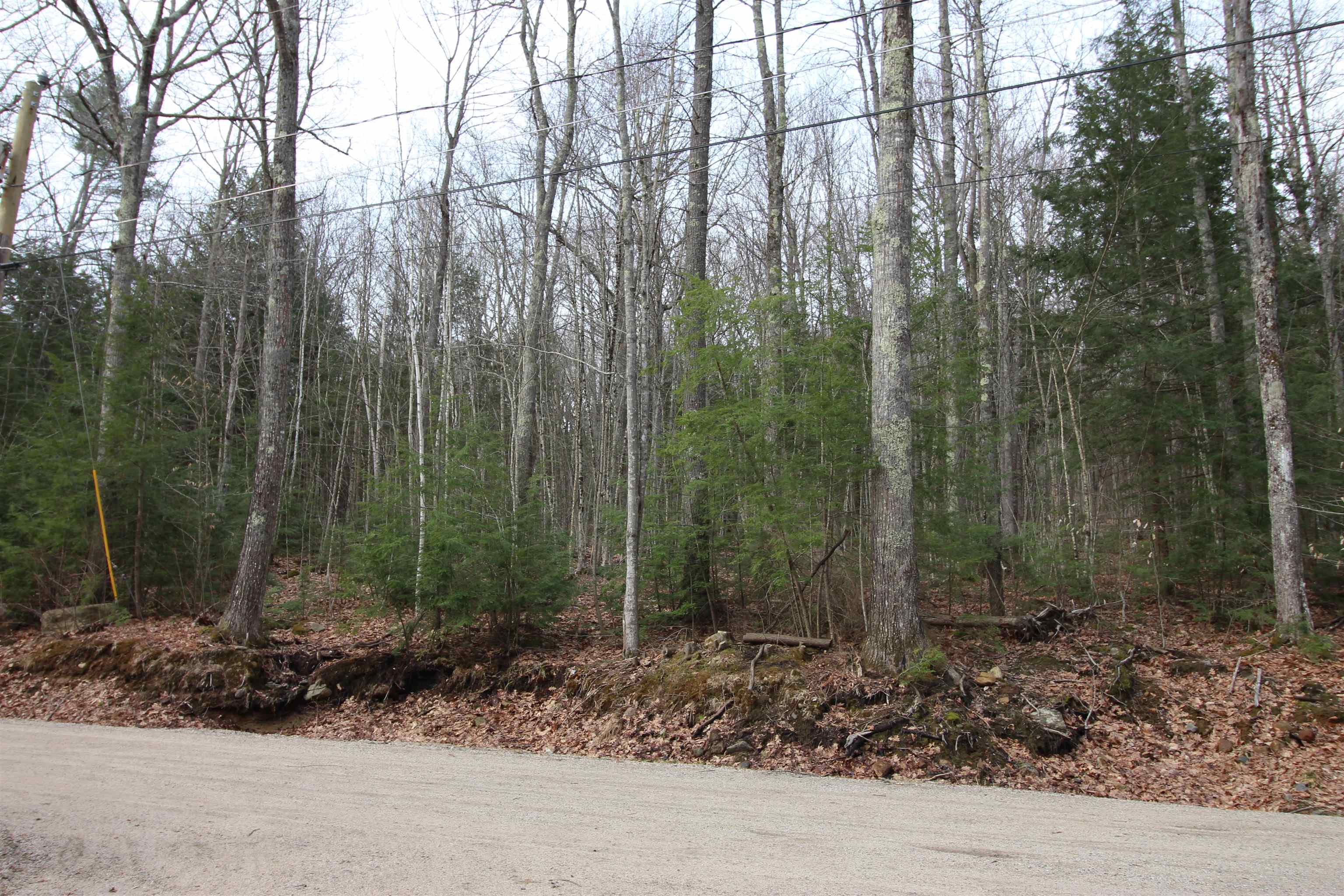 Lot 19-17 Northeast Pond Road, Unit 1917 Milton, NH 03851 - Photo 7 of 7