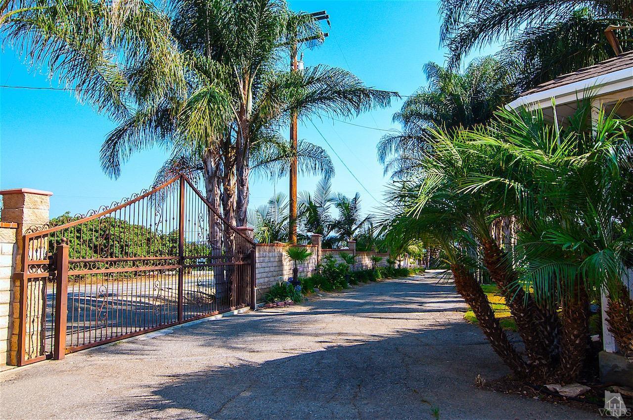 6487 Balcom Canyon Road Somis, CA 93066 - Photo 14 of 20 a view of a palm trees front of a house with a road