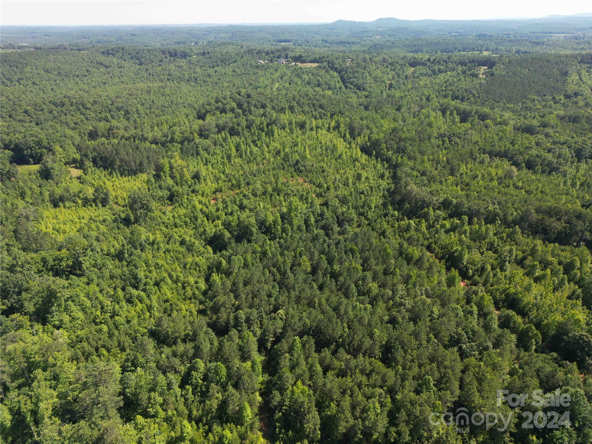 1071 Manus Chapel Road Mill Spring, NC 28756 - Photo 11 of 22 Gallery Image 11