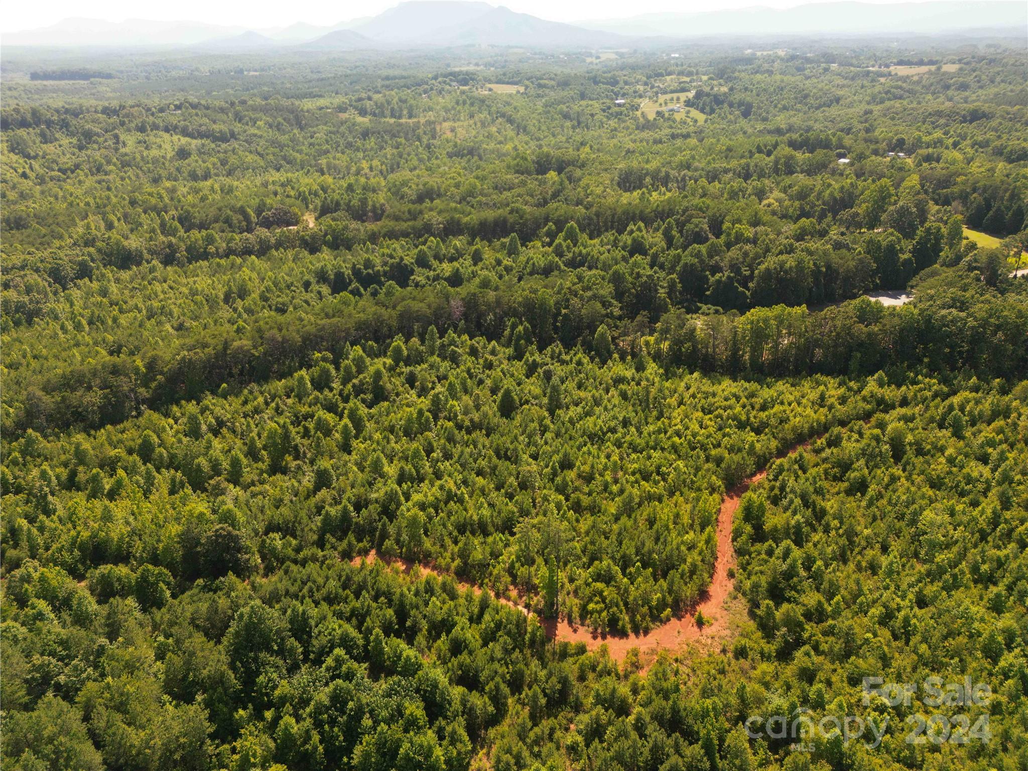 1071 Manus Chapel Road Mill Spring, NC 28756 - Photo 12 of 22 Gallery Image 12