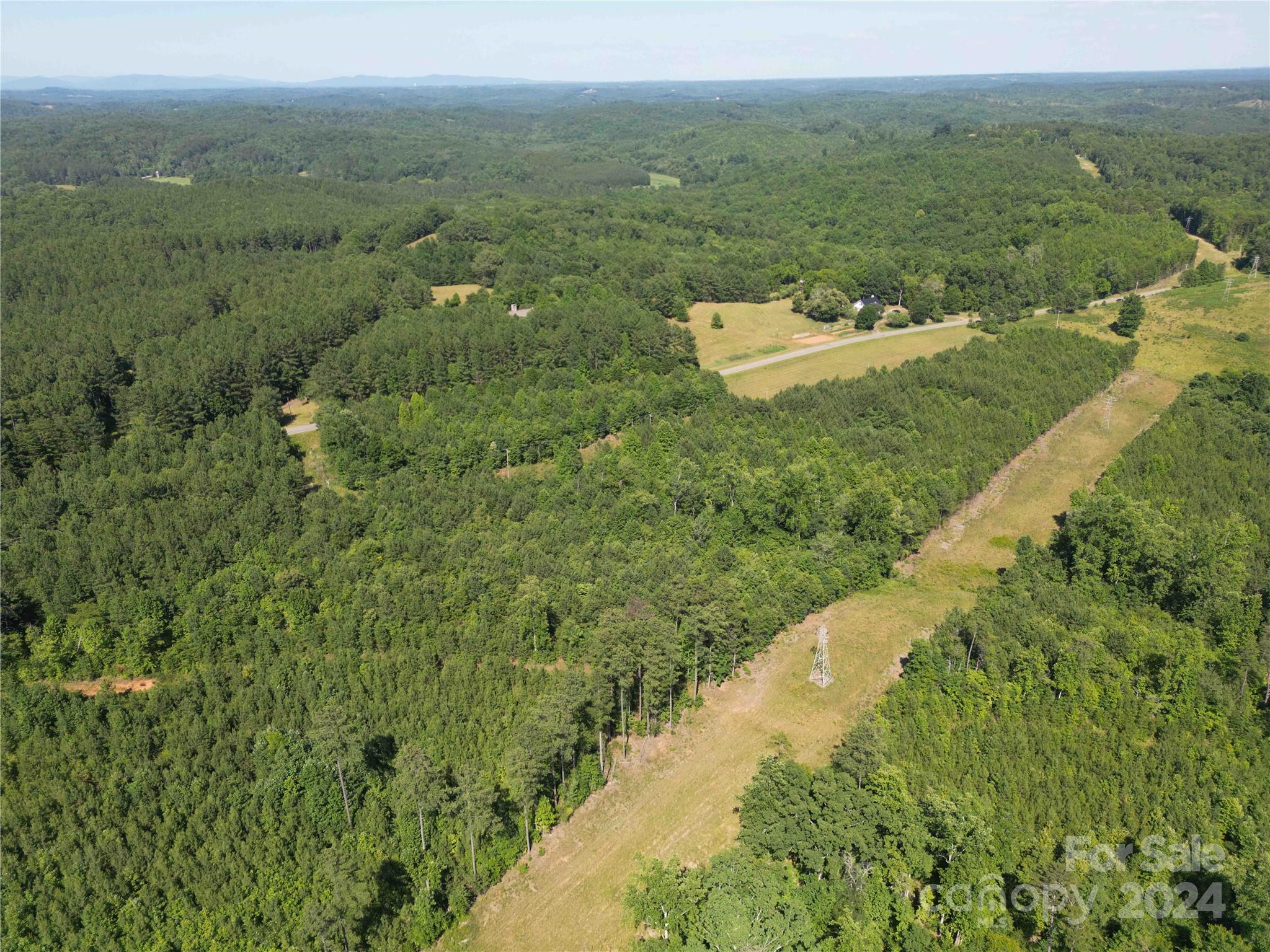 1071 Manus Chapel Road Mill Spring, NC 28756 - Photo 18 of 22 Gallery Image 18