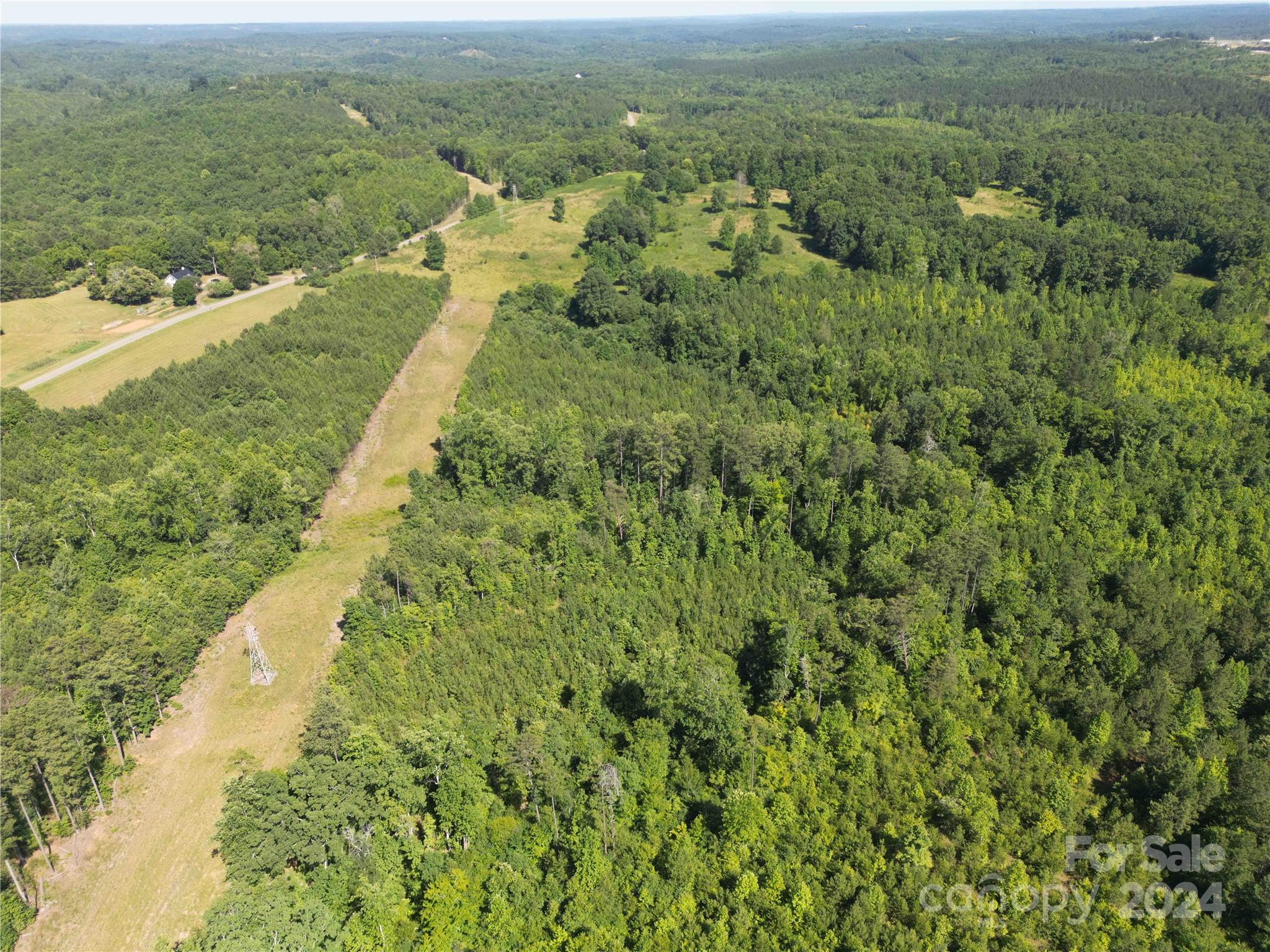 1071 Manus Chapel Road Mill Spring, NC 28756 - Photo 19 of 22 Gallery Image 19