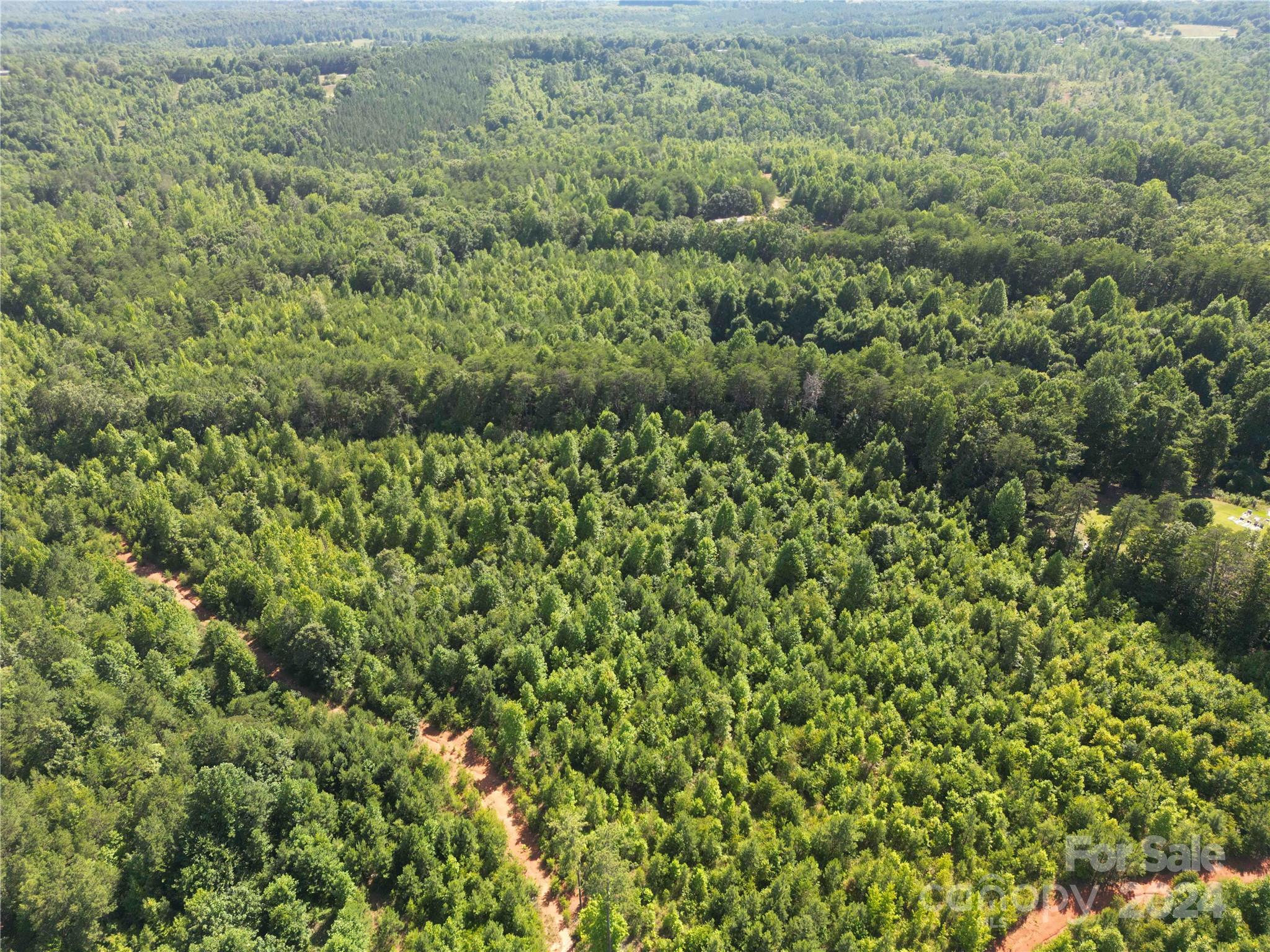 1071 Manus Chapel Road Mill Spring, NC 28756 - Photo 20 of 22 Gallery Image 20