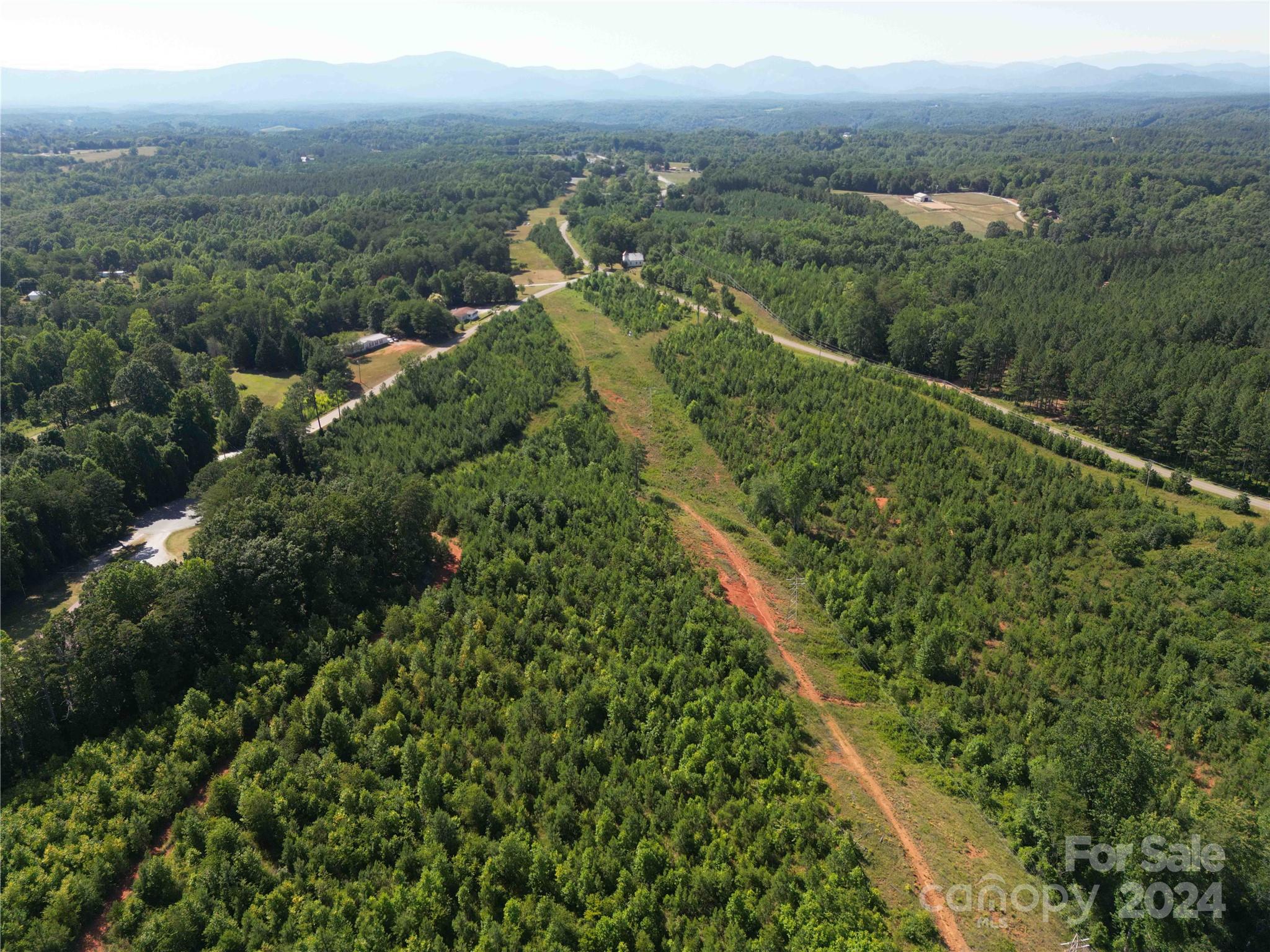 1071 Manus Chapel Road Mill Spring, NC 28756 - Photo 22 of 22 Gallery Image 22