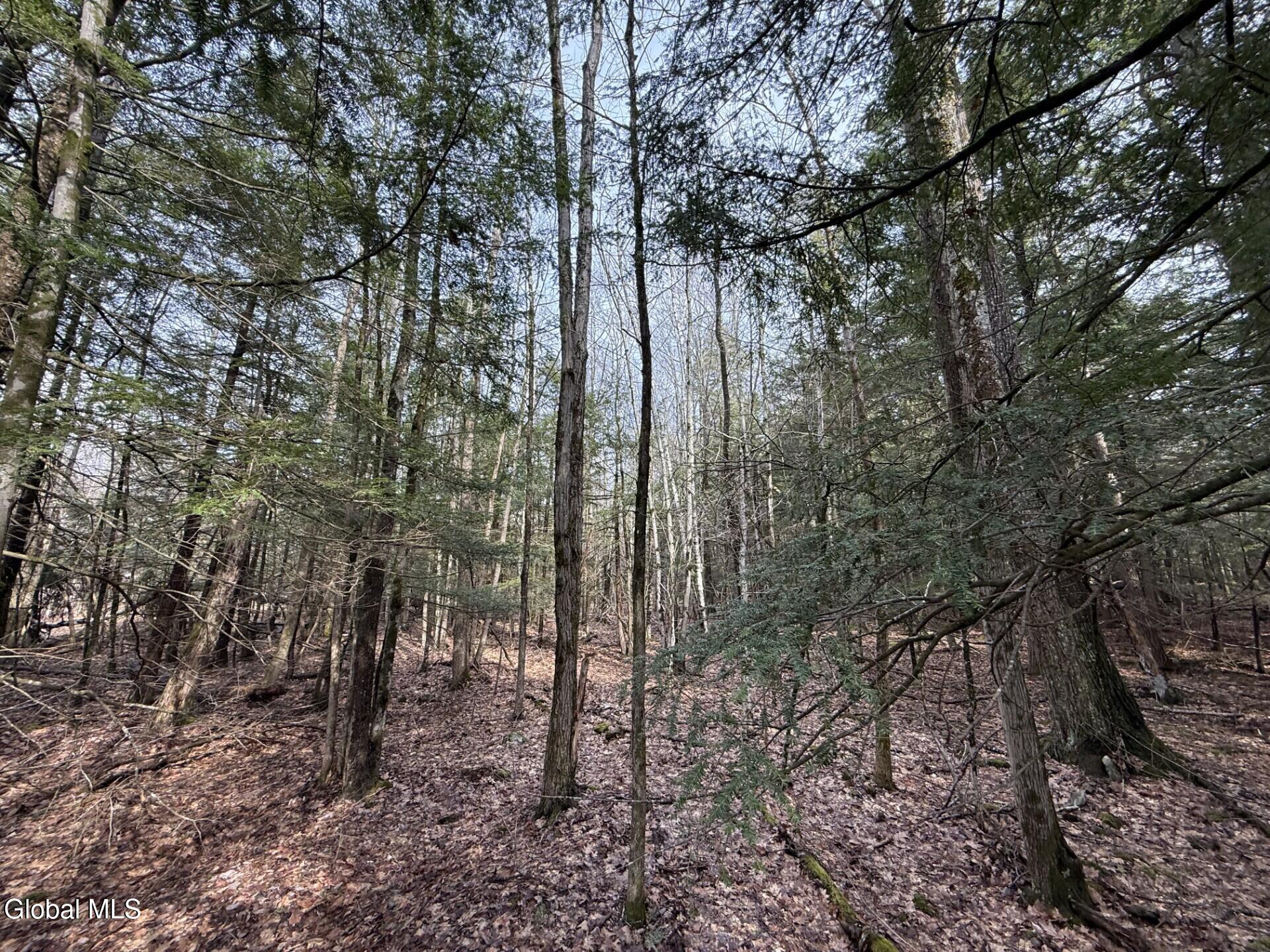 0 Becker Road Middleburgh, NY 12122 - Photo 2 of 6 IMG_2434 (1)