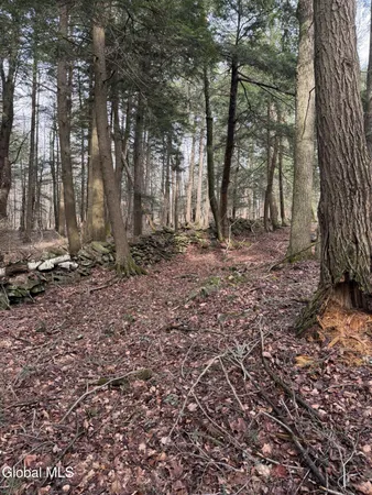 $55,000 | 0 Becker Road, Middleburgh, NY 12122