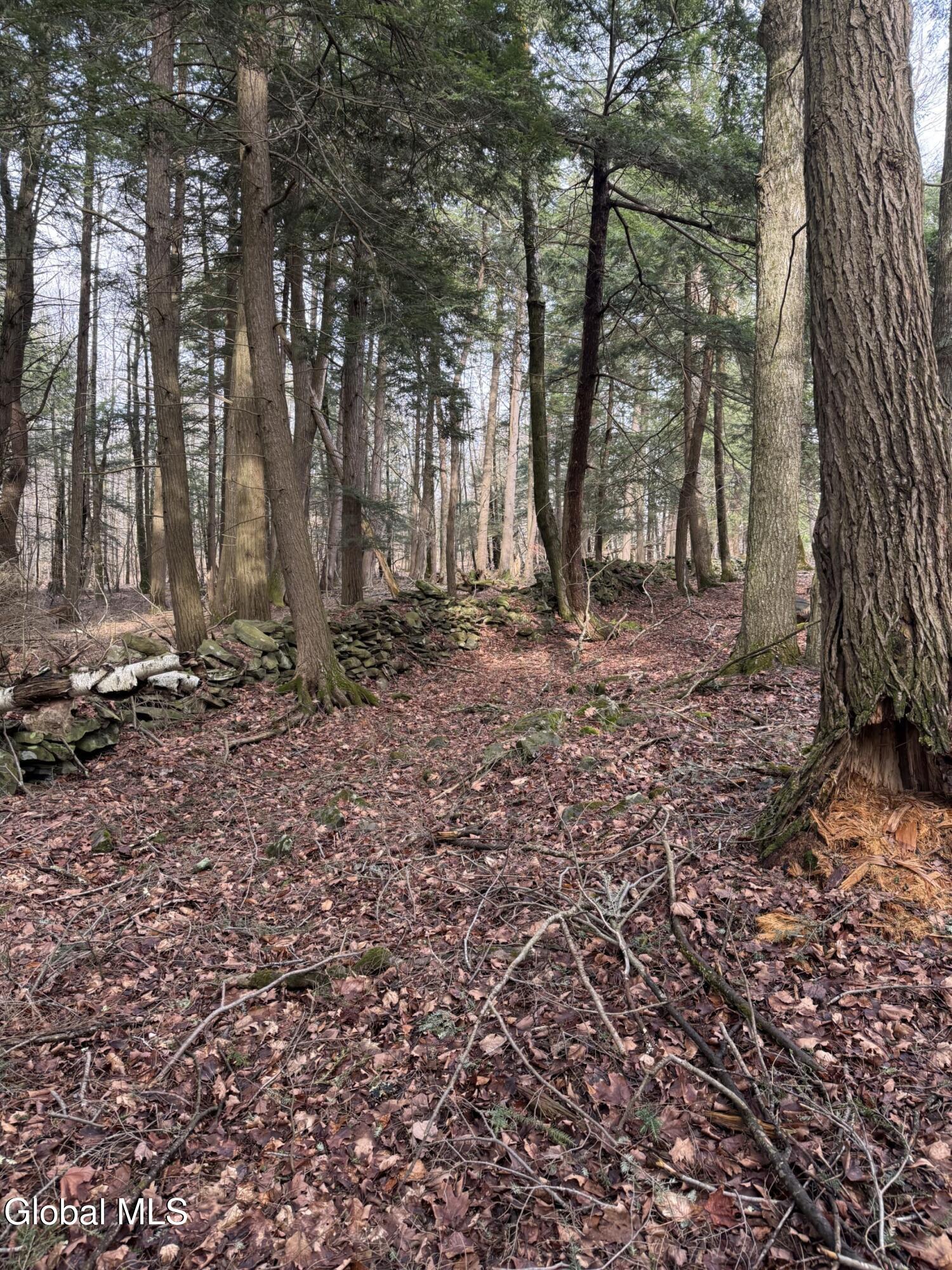 0 Becker Road Middleburgh, NY 12122 - Photo 3 of 6 IMG_2447 (1)