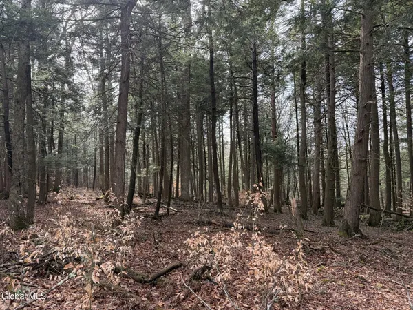 $55,000 | 0 Becker Road, Middleburgh, NY 12122