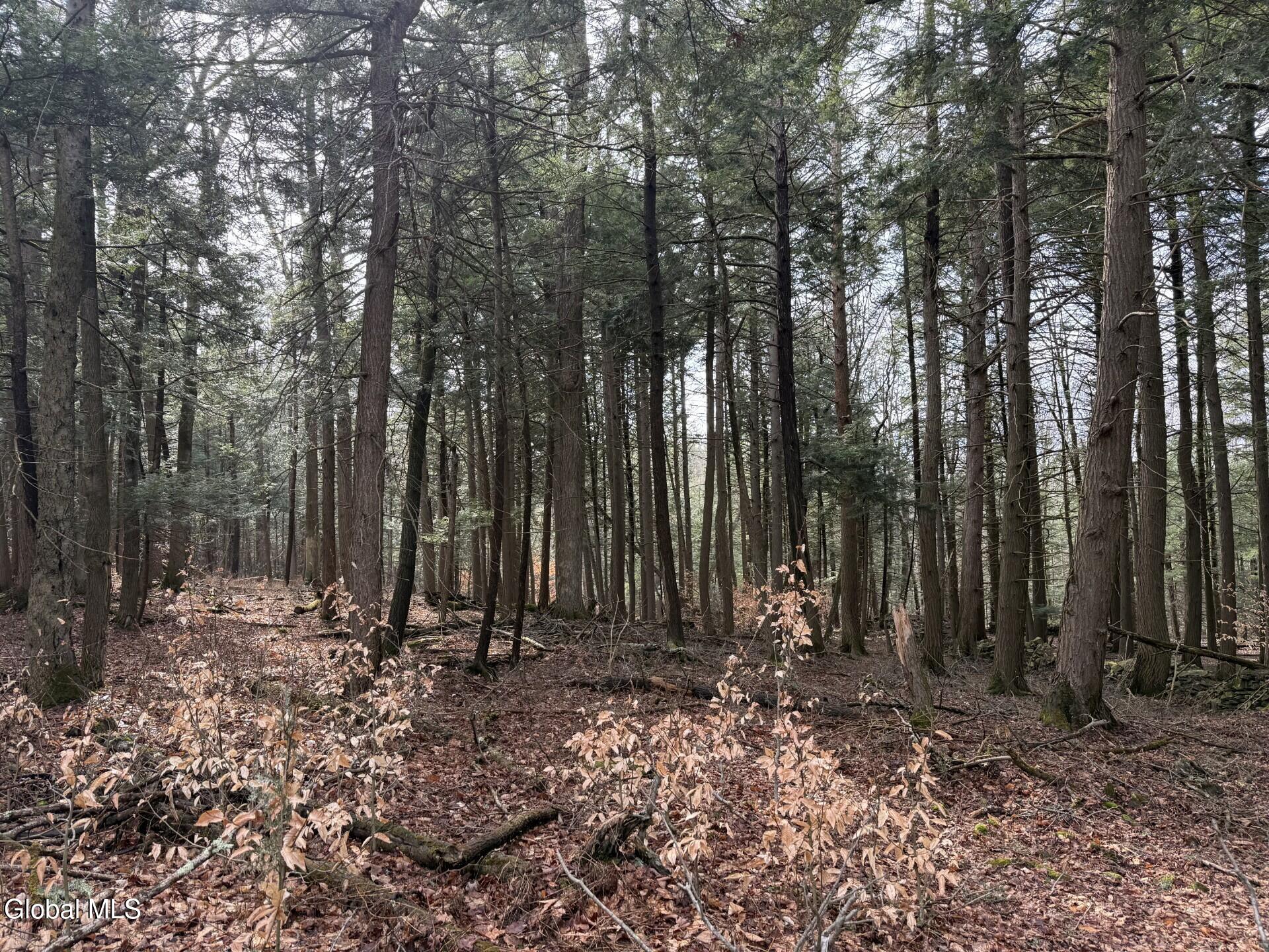 0 Becker Road Middleburgh, NY 12122 - Photo 4 of 6 IMG_2450 (1)