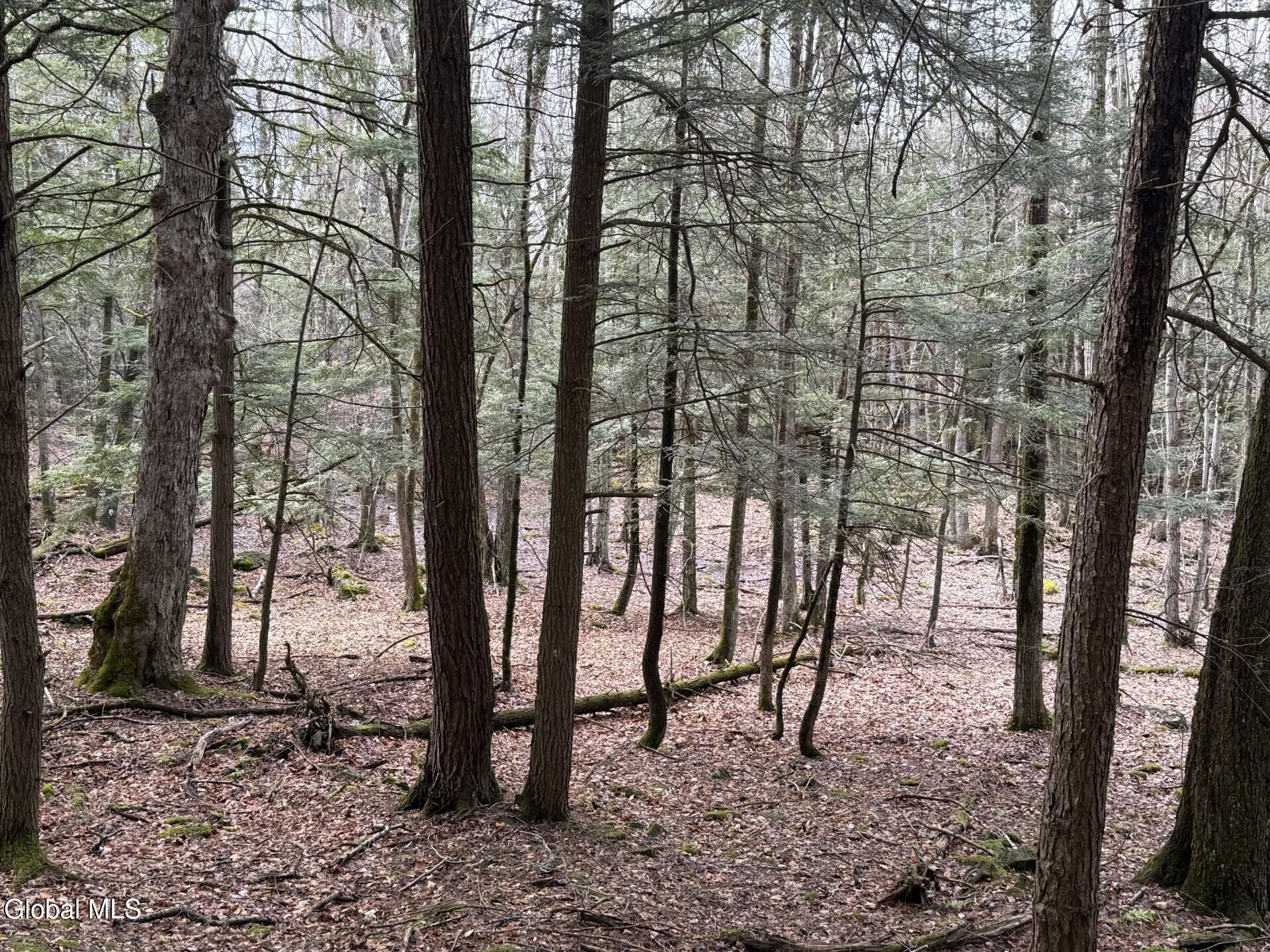 0 Becker Road Middleburgh, NY 12122 - Photo 5 of 6 IMG_2458 (1)