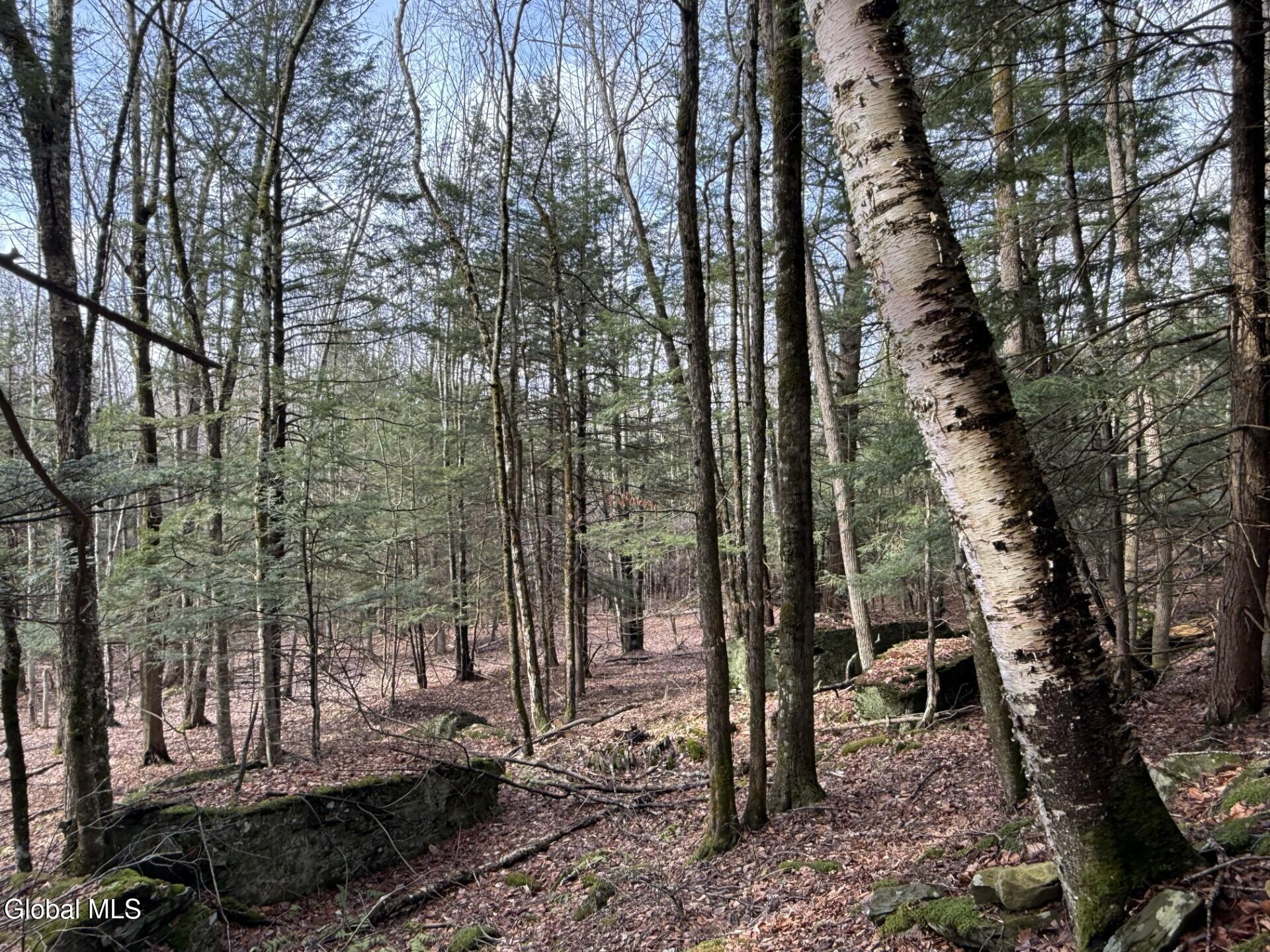 0 Becker Road Middleburgh, NY 12122 - Photo 6 of 6 IMG_2446 (1)