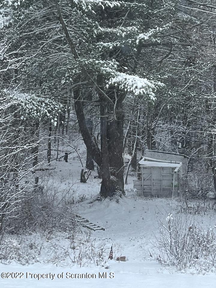 299 Cascade Valley Road Windsor, NY 13865 - Photo 6 of 9 a view of a dry yard with trees and wooden fence