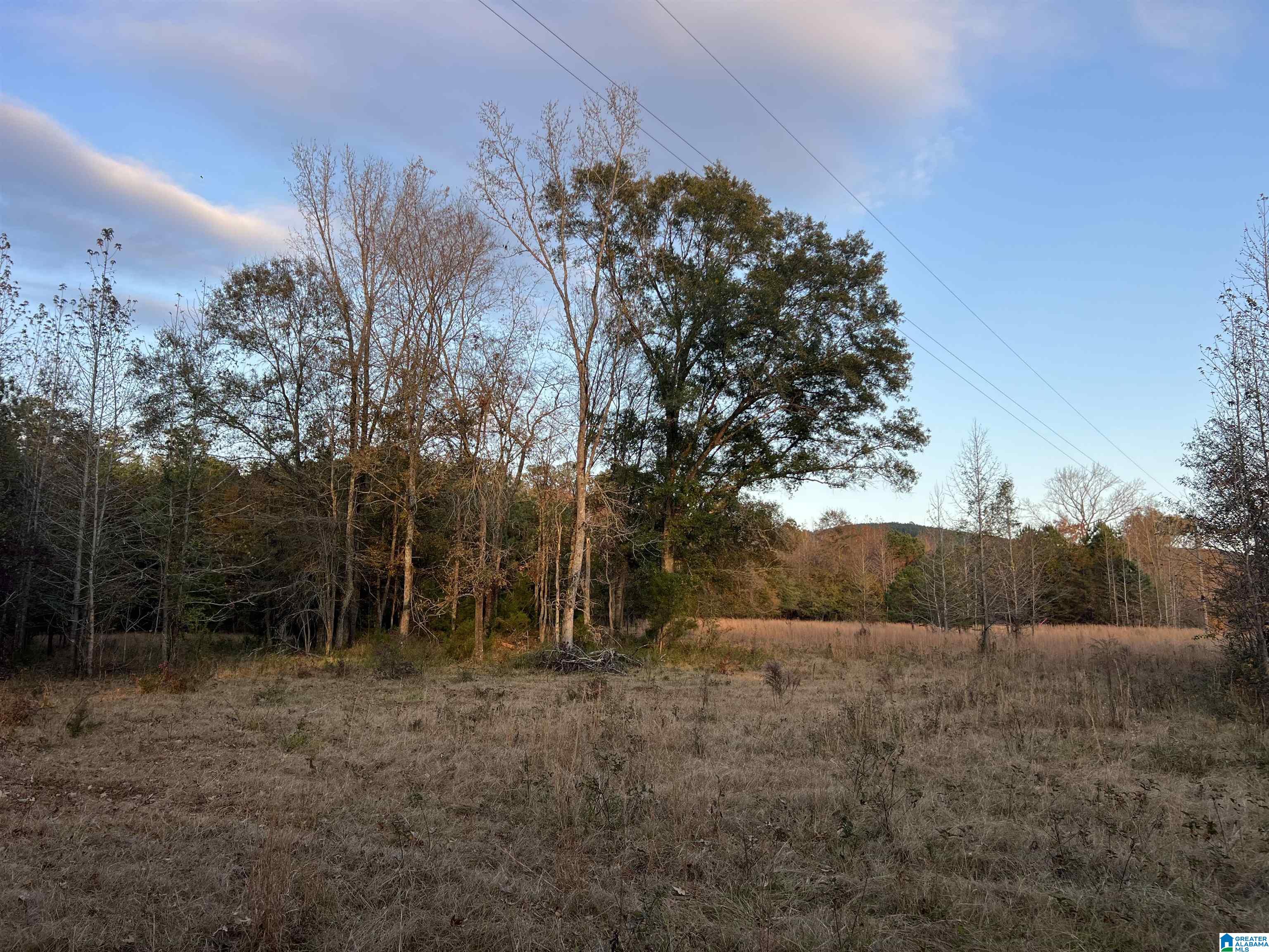 11-acres Risers Mill Road, Unit 11 ACRES Alpine, AL 35014 - Photo 16 of 23