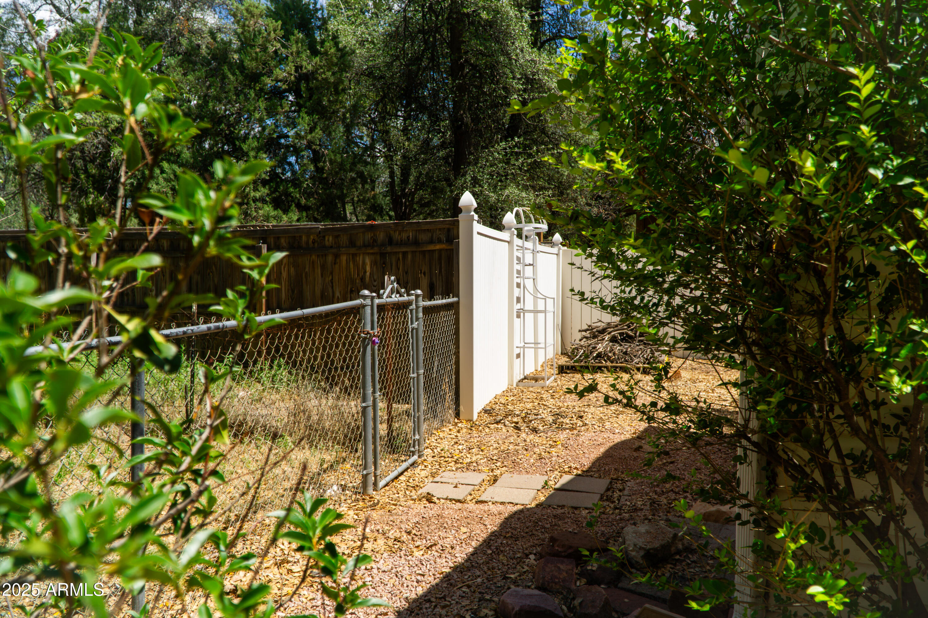 1507 North Bell Circle Payson, AZ 85541 - Photo 42 of 57 (41) Left Side Yard