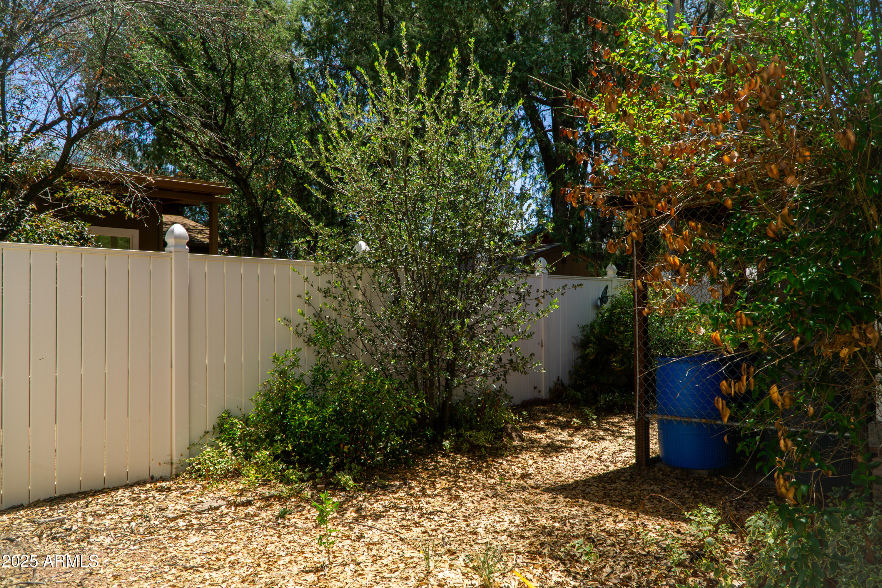 1507 North Bell Circle Payson, AZ 85541 - Photo 44 of 57 (43) Backyard