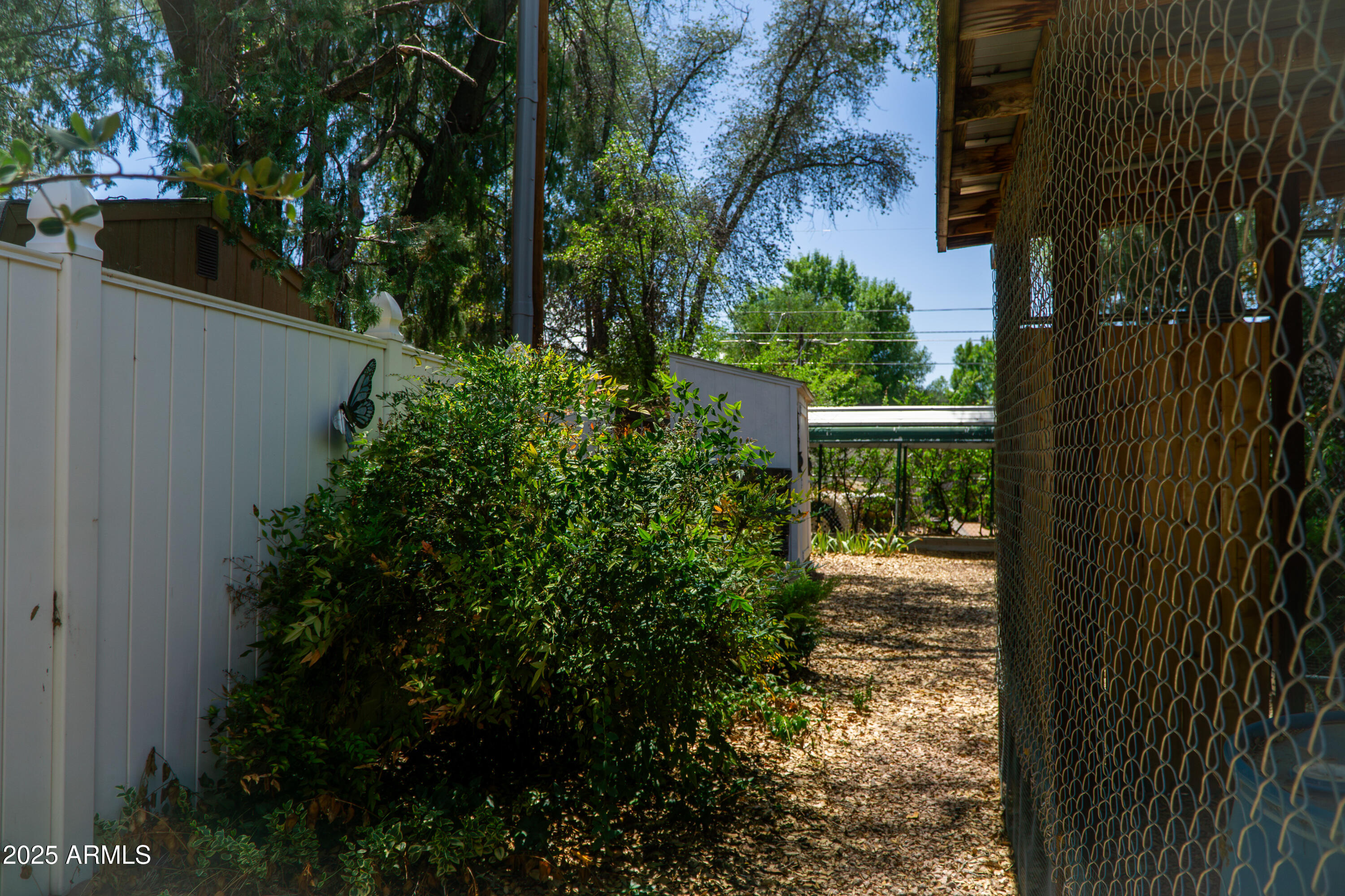 1507 North Bell Circle Payson, AZ 85541 - Photo 45 of 57 (44) Backyard