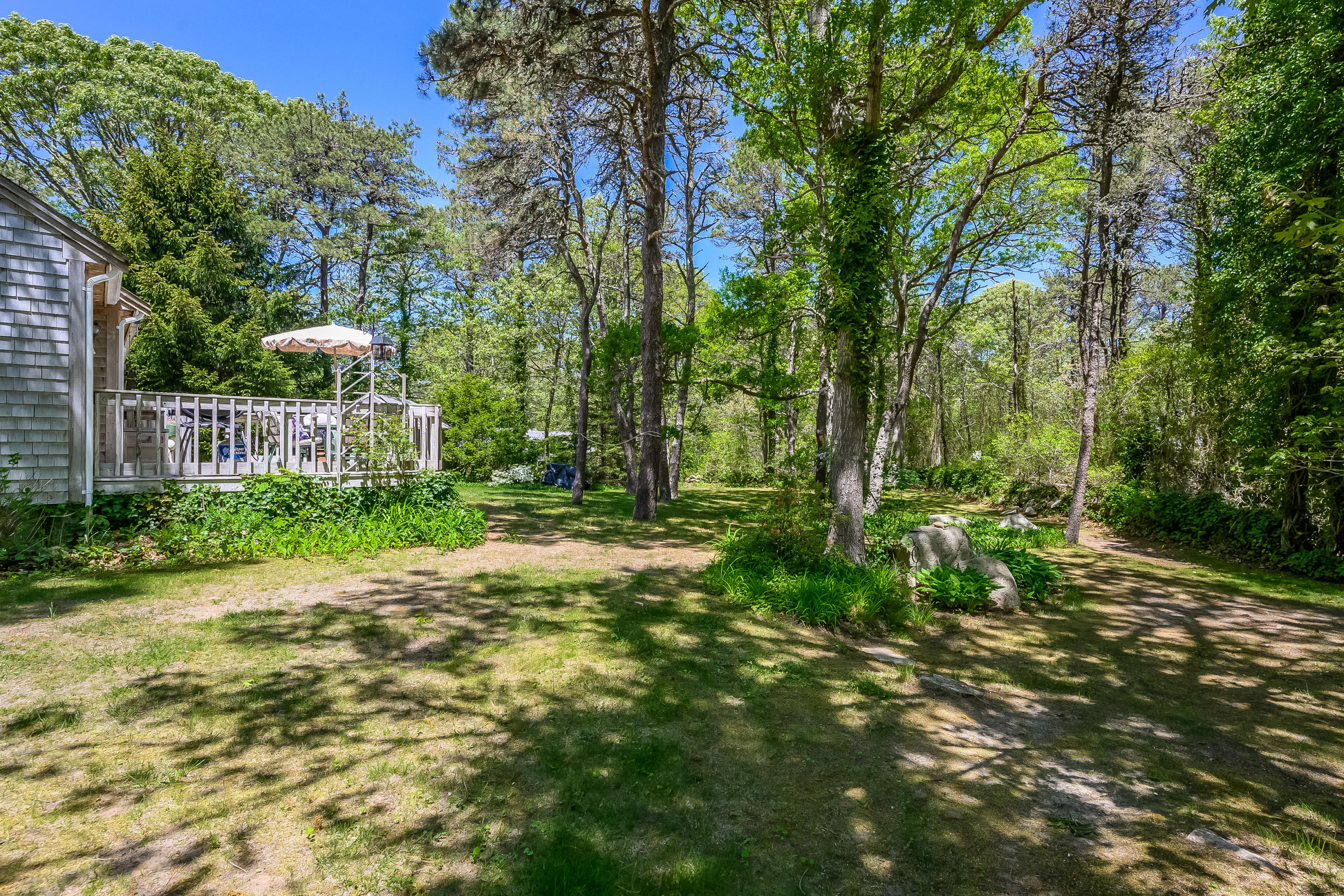 106 Tower Hill Circle Brewster, MA 02631 - Photo 18 of 19 a view of a yard with plants and large trees