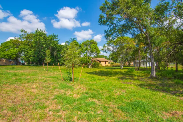 a view of a park with large trees