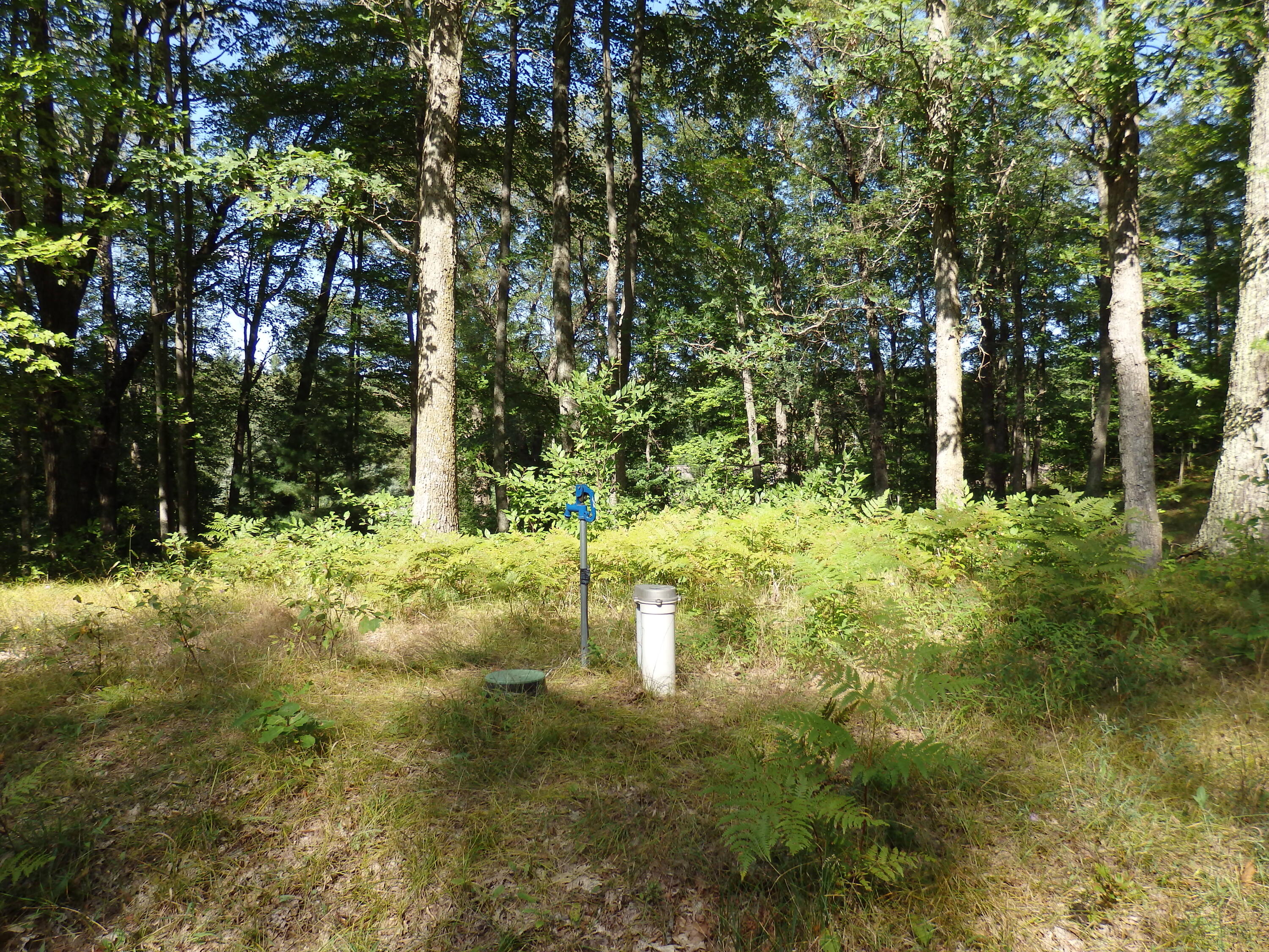 Undisclosed Address Irons, MI 49644 - Photo 18 of 21 P9010015