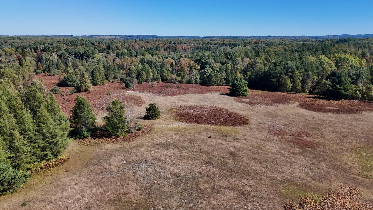 20200 Hibma Road Tustin, MI 49688 - Photo 65 of 104 061a