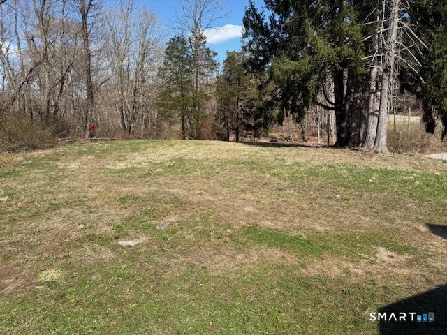 605 Highway 6 Andover, CT 06232 - Photo 4 of 14 a view of yard