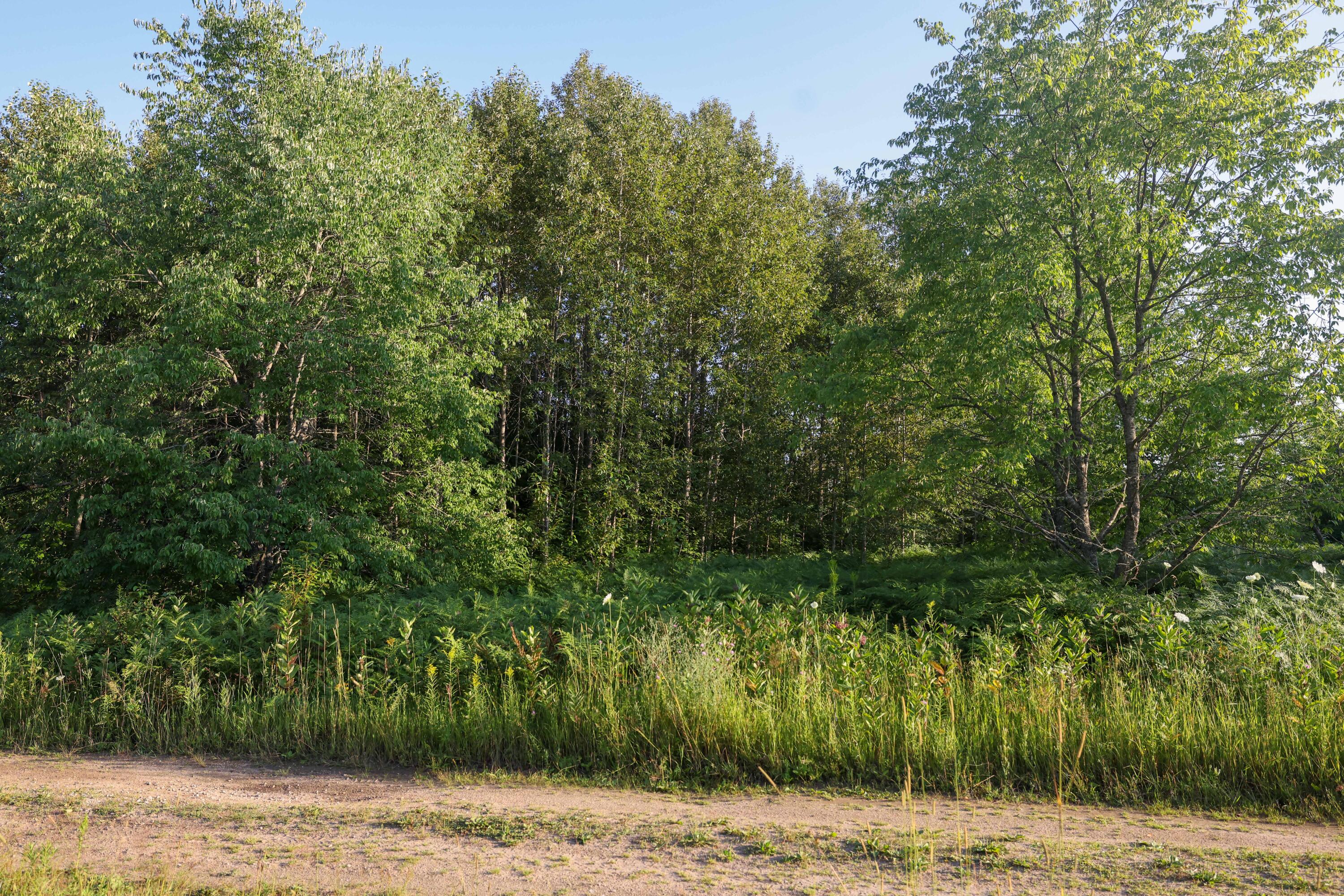0 Ford Lake Road Germfask, MI 49836 - Photo 37 of 49 Gallery Image 37