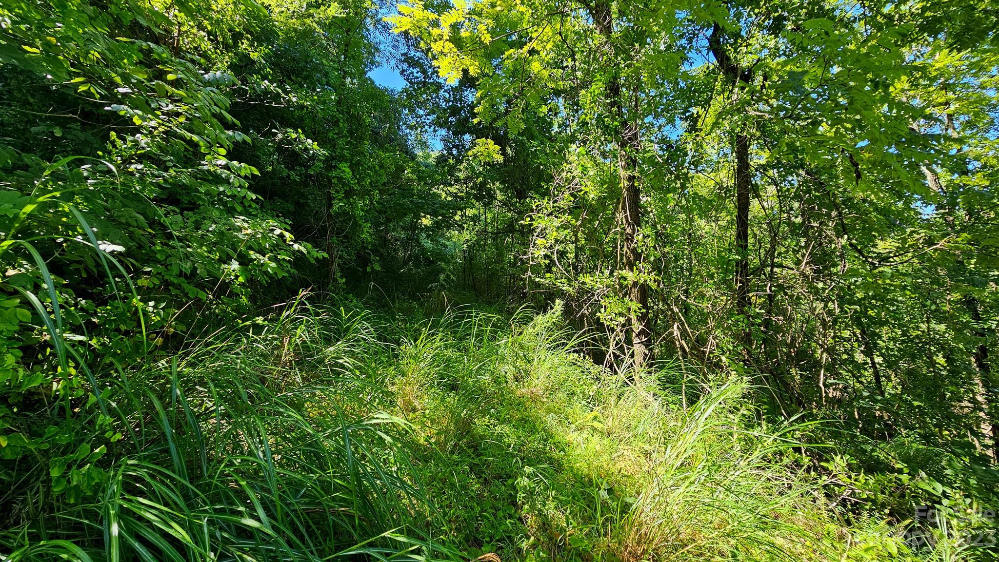 310 Bee Tree Road Marshall, NC 28753 - Photo 11 of 33