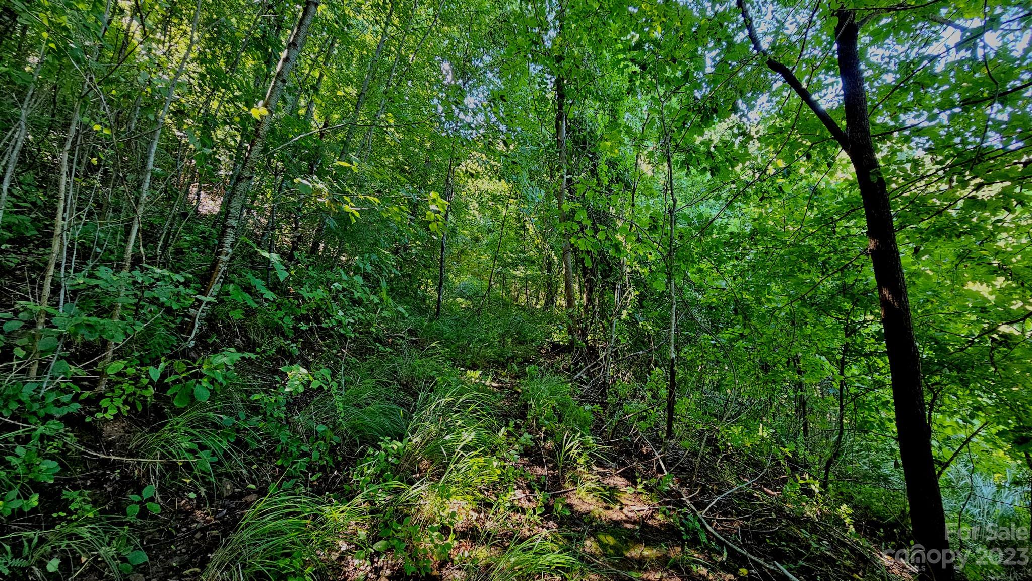 310 Bee Tree Road Marshall, NC 28753 - Photo 13 of 33