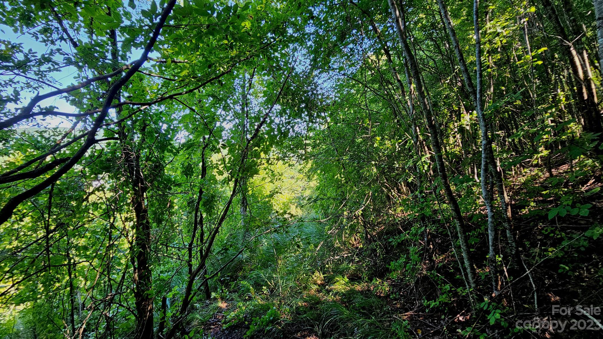 310 Bee Tree Road Marshall, NC 28753 - Photo 14 of 33