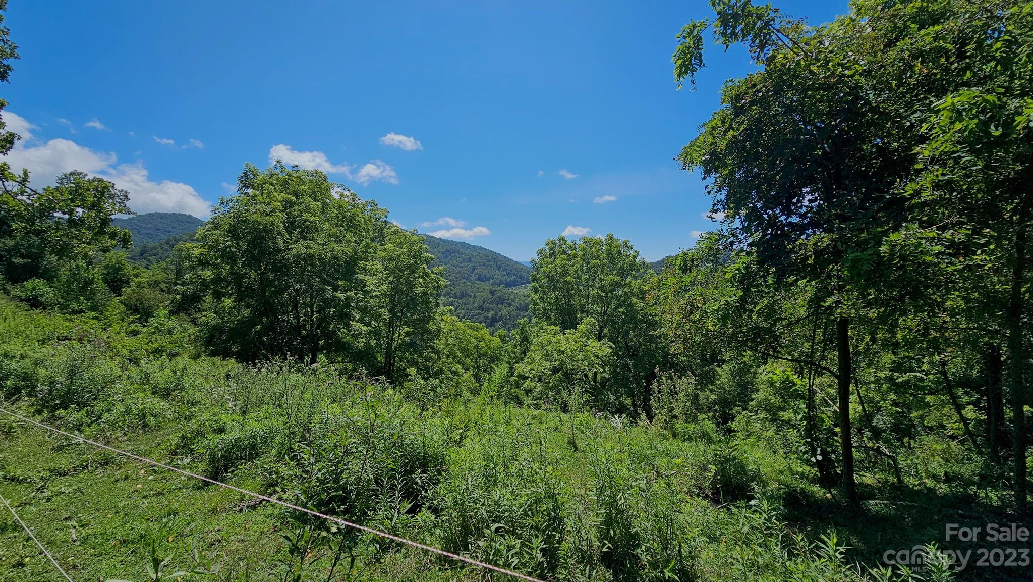 310 Bee Tree Road Marshall, NC 28753 - Photo 15 of 33