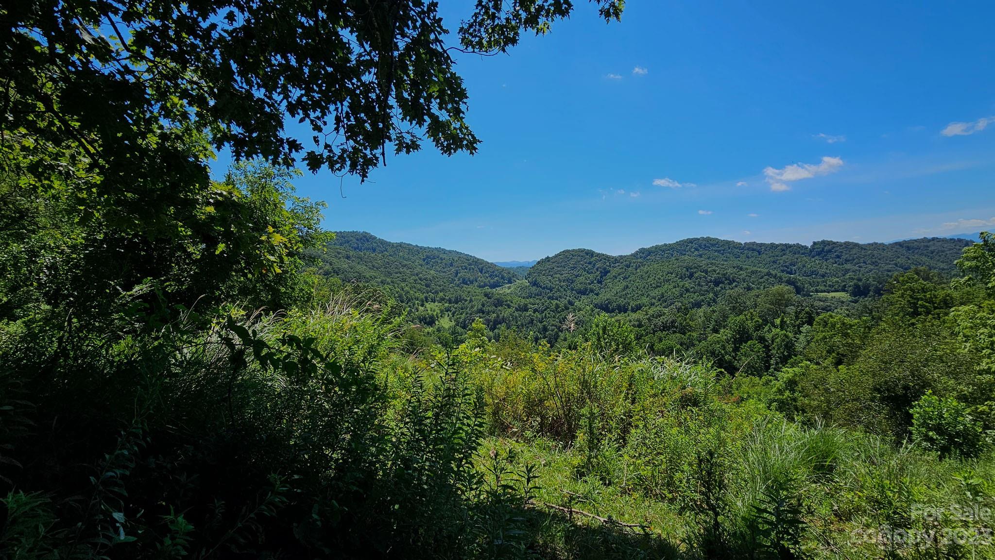 310 Bee Tree Road Marshall, NC 28753 - Photo 17 of 33
