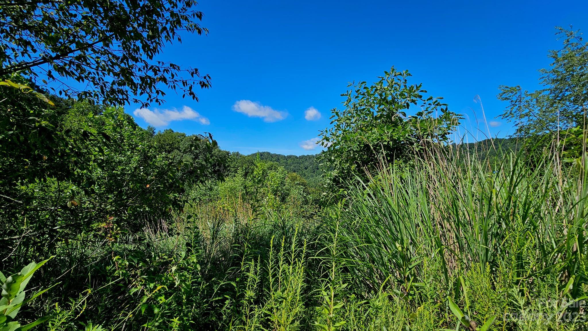 310 Bee Tree Road Marshall, NC 28753 - Photo 18 of 33