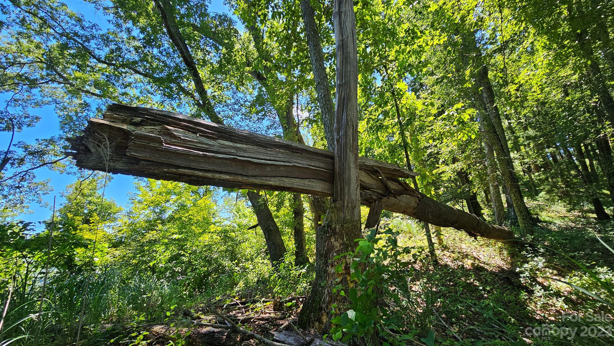 310 Bee Tree Road Marshall, NC 28753 - Photo 22 of 33