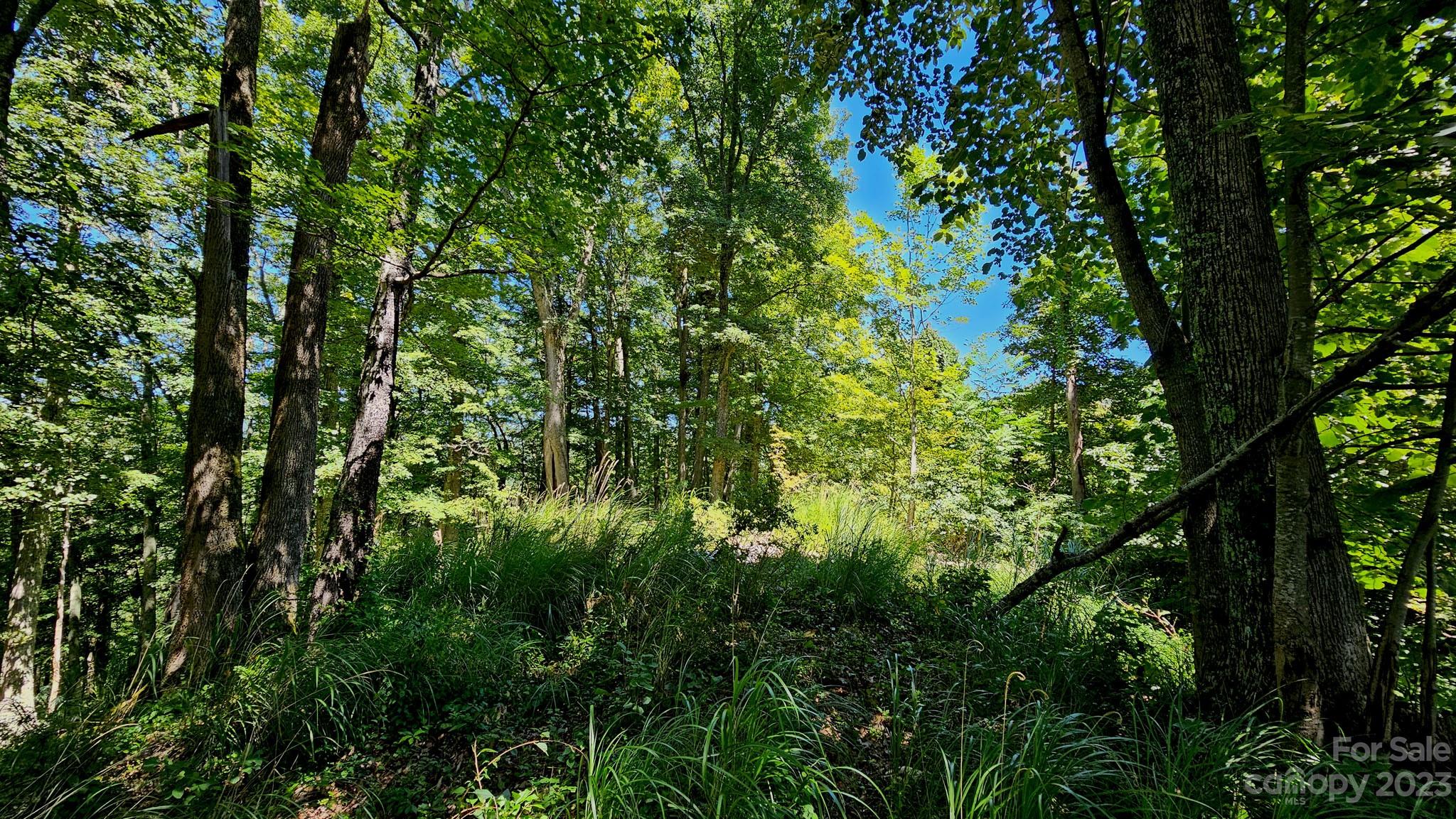 310 Bee Tree Road Marshall, NC 28753 - Photo 23 of 33