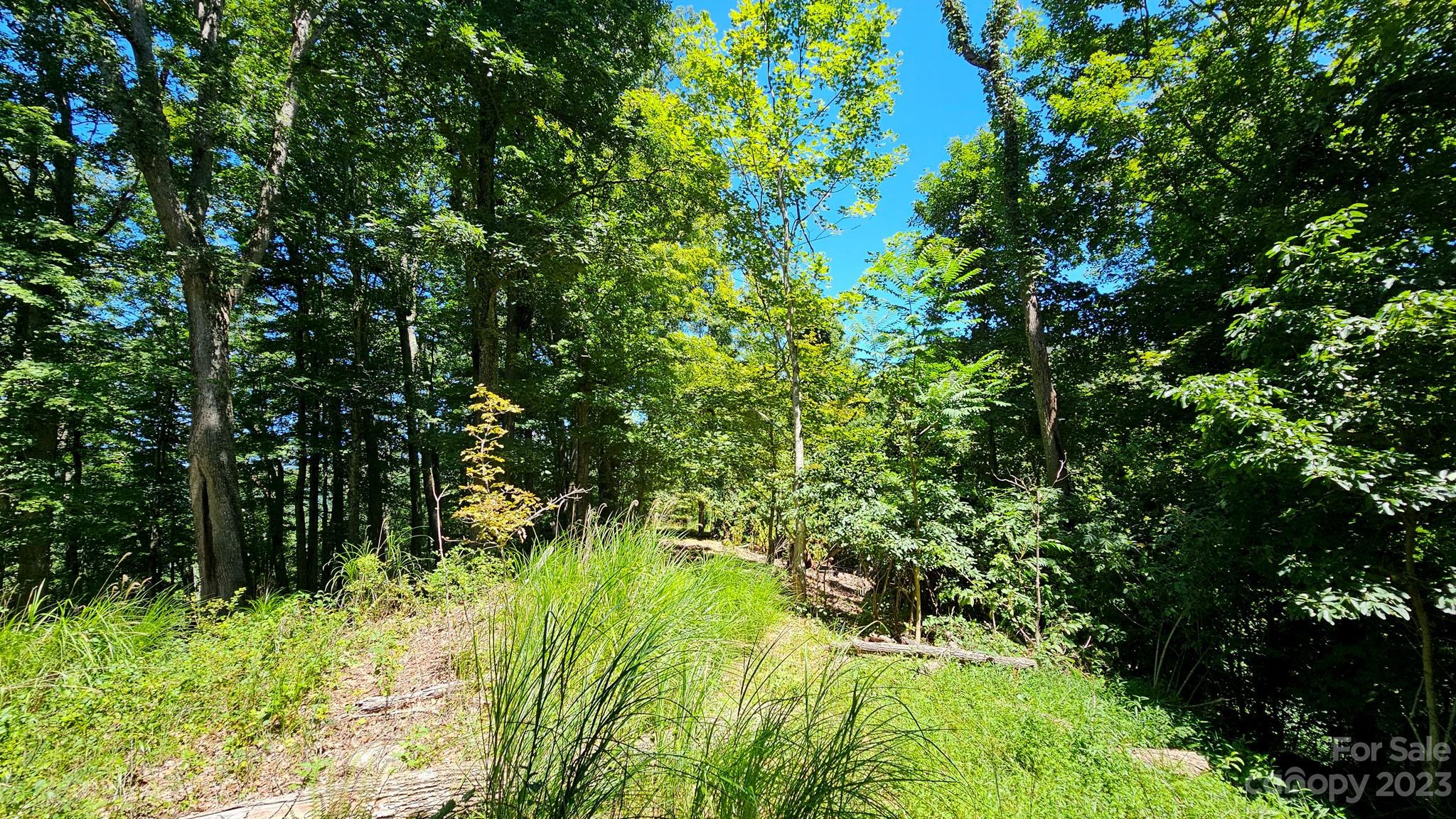 310 Bee Tree Road Marshall, NC 28753 - Photo 24 of 33