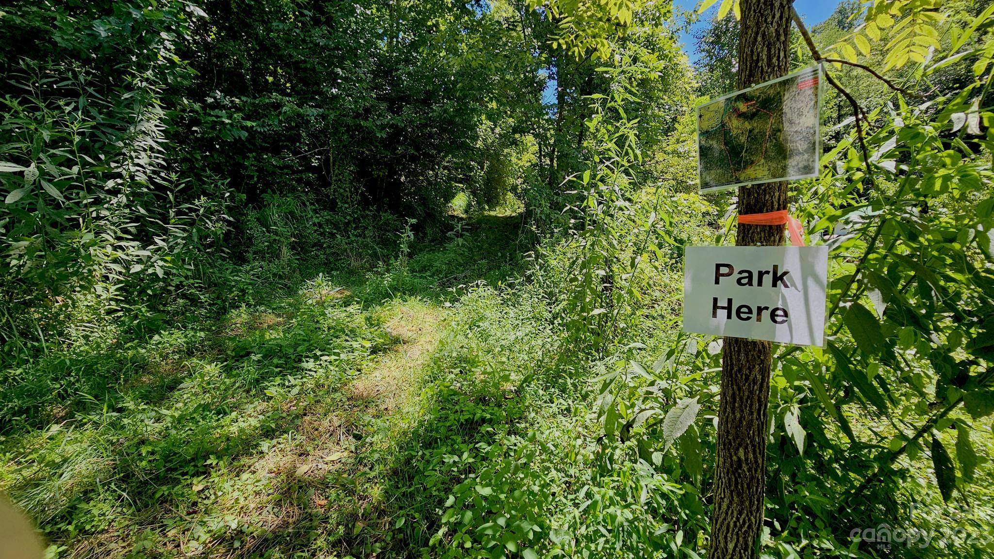 310 Bee Tree Road Marshall, NC 28753 - Photo 27 of 33