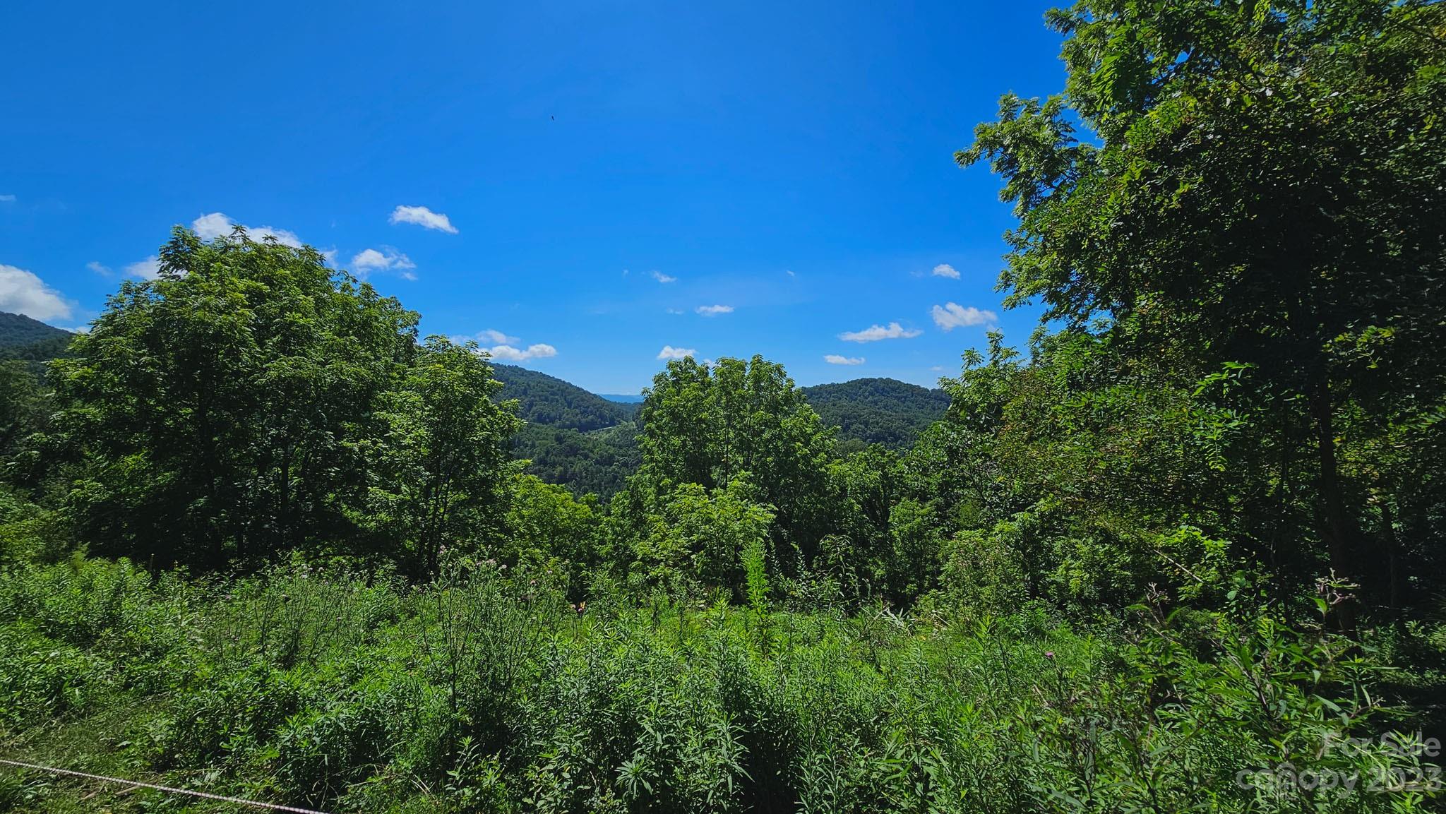 310 Bee Tree Road Marshall, NC 28753 - Photo 3 of 33