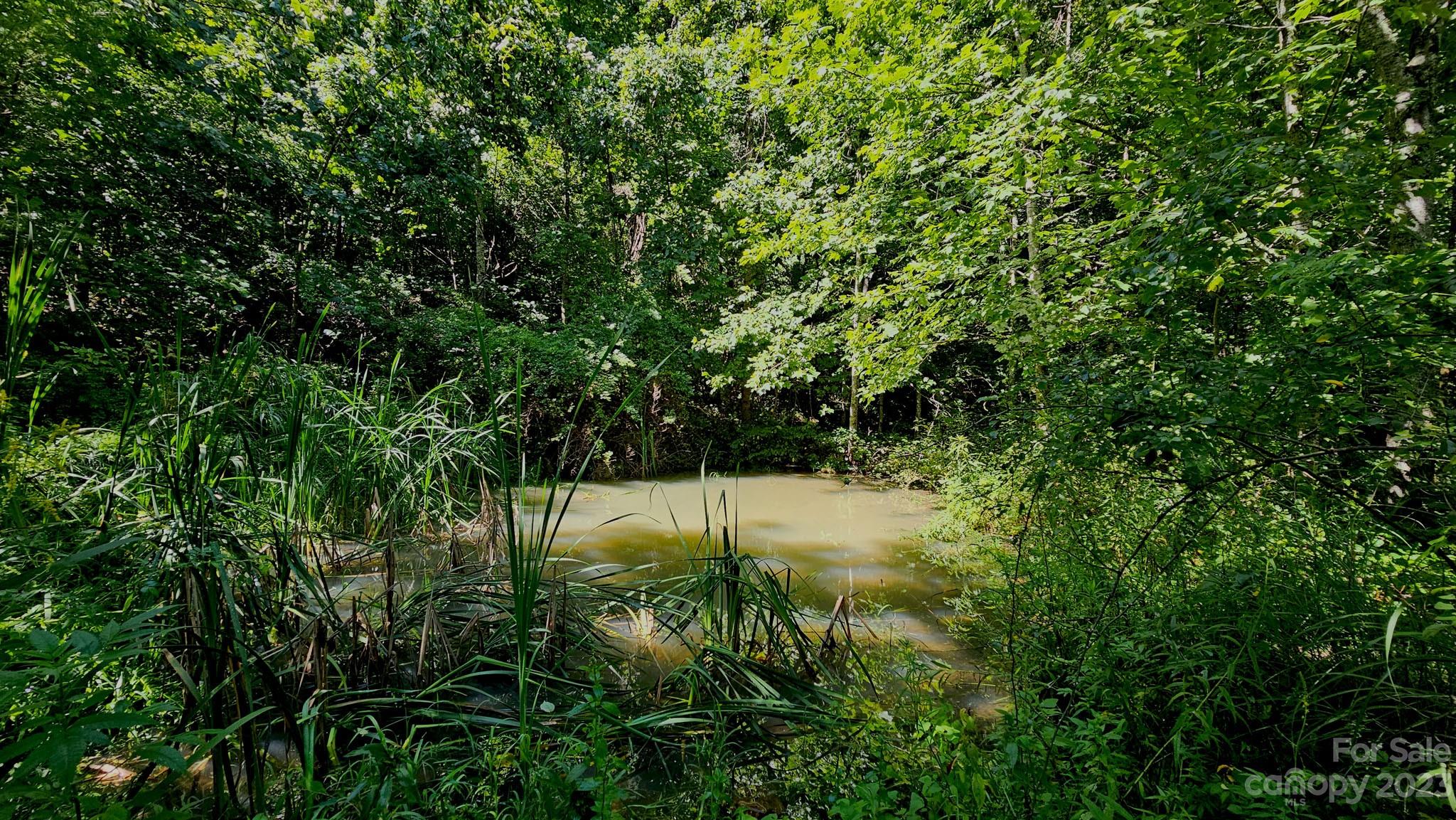 310 Bee Tree Road Marshall, NC 28753 - Photo 4 of 33