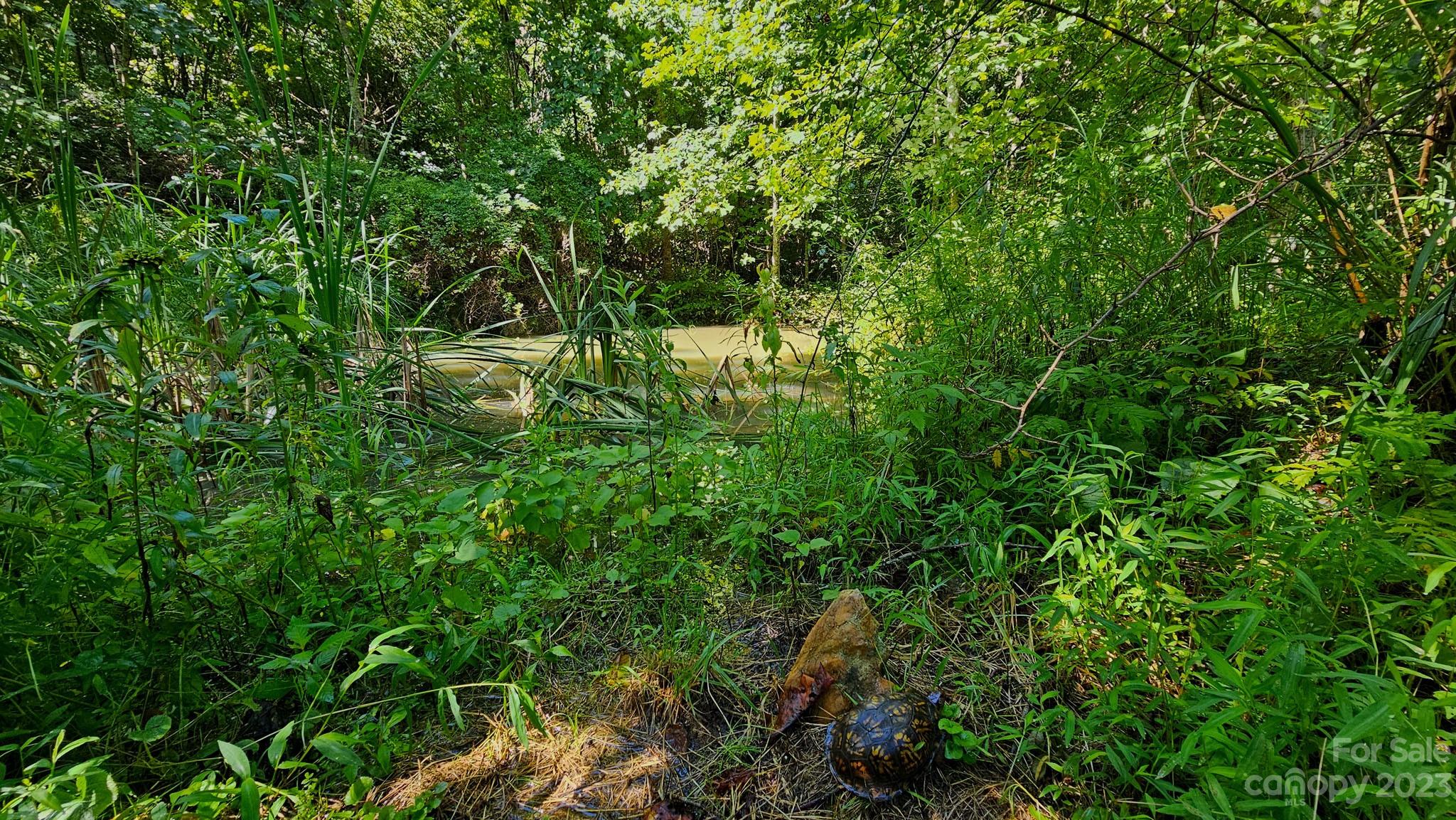 310 Bee Tree Road Marshall, NC 28753 - Photo 5 of 33