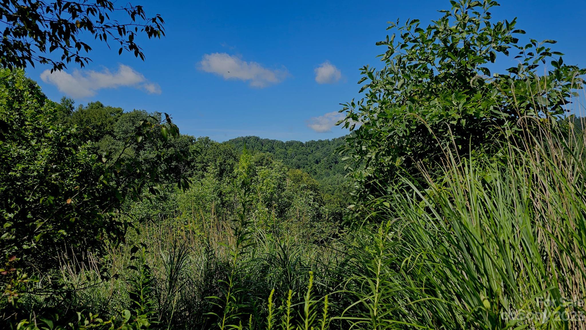 310 Bee Tree Road Marshall, NC 28753 - Photo 6 of 33
