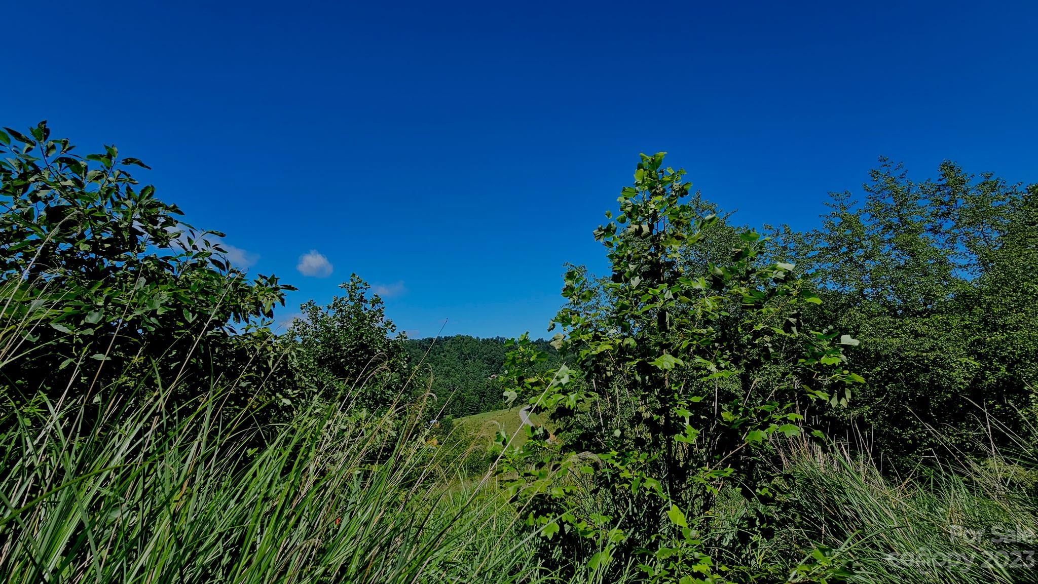310 Bee Tree Road Marshall, NC 28753 - Photo 8 of 33