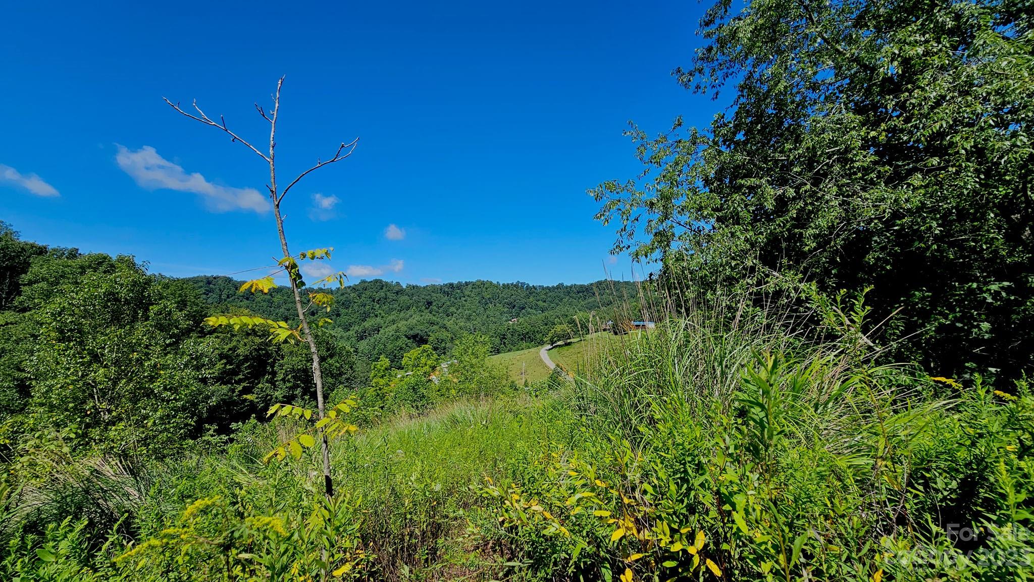 310 Bee Tree Road Marshall, NC 28753 - Photo 10 of 33
