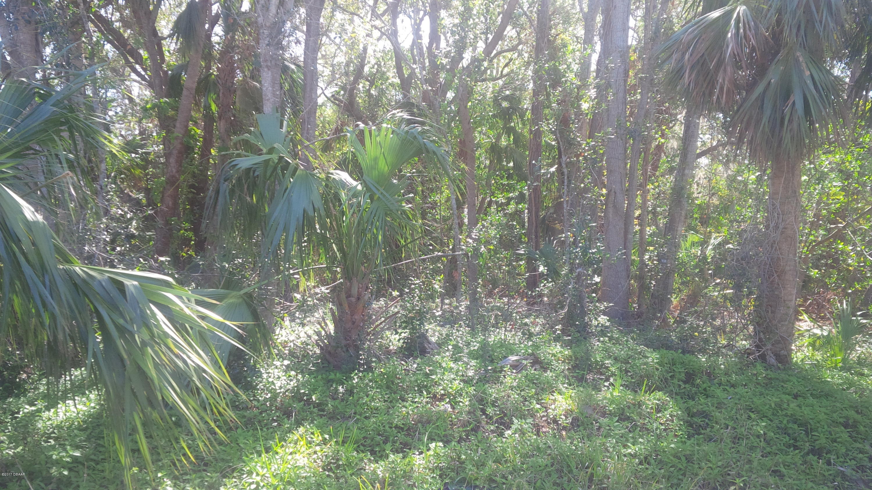 713 Beville Road South Daytona, FL 32119 - Photo 4 of 9 IMG_20170224_114657