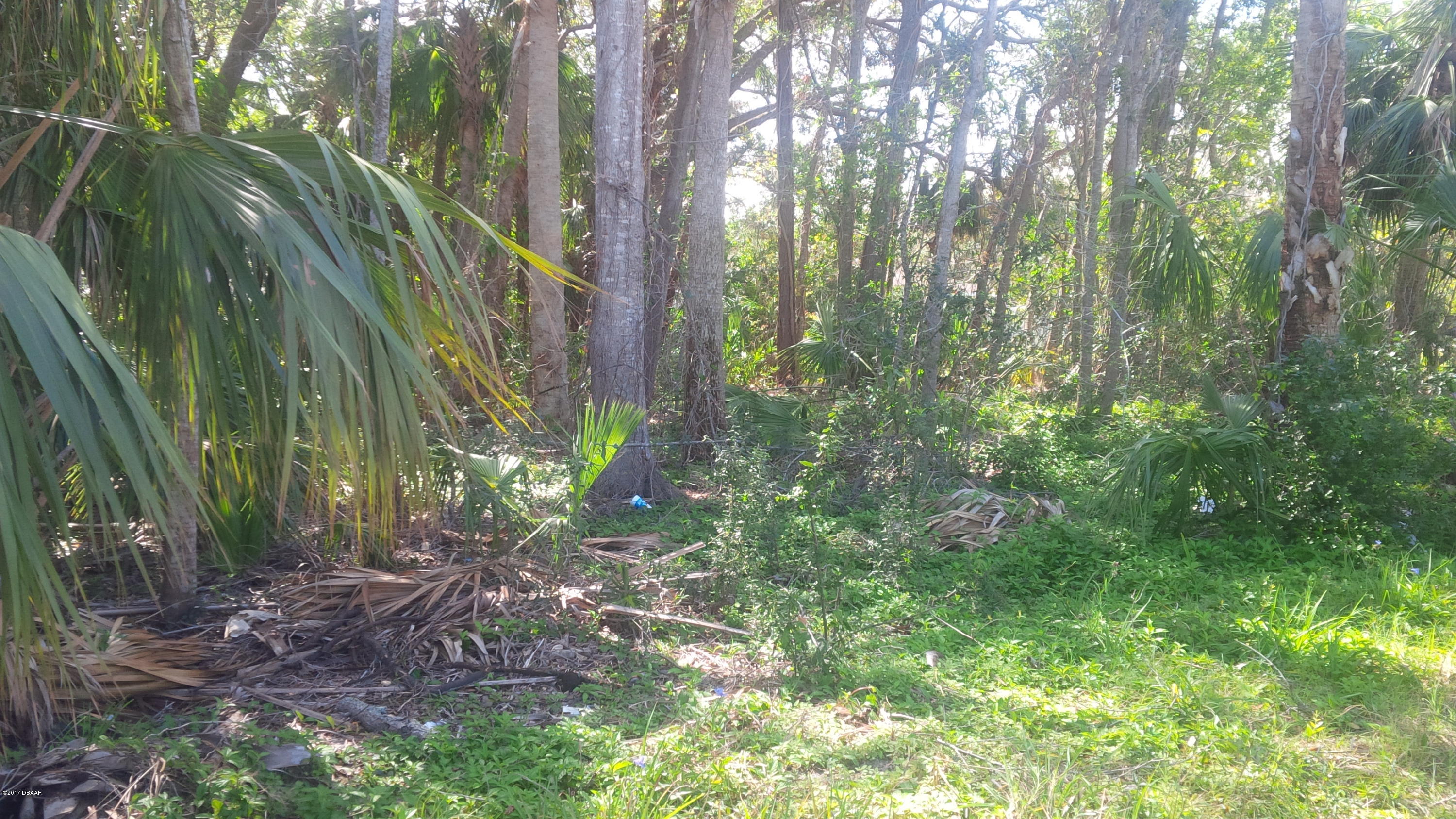 713 Beville Road South Daytona, FL 32119 - Photo 5 of 9 IMG_20170224_114642