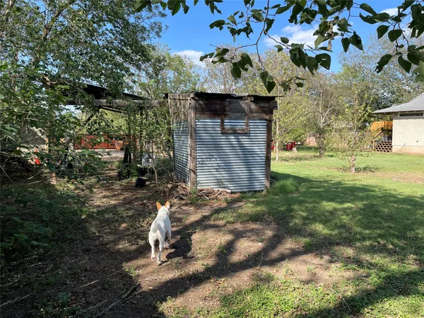 a view of a wooden door and a tree