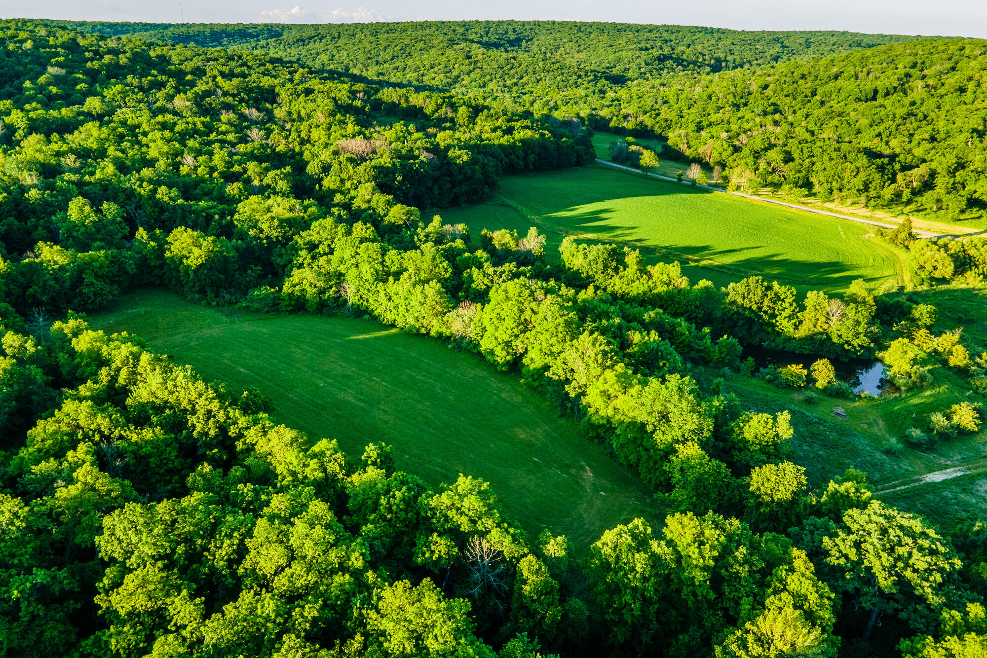 Lt0 Denzer Road North Freedom, WI 53951 - Photo 1 of 68 Sauk-County-WI-54-Acres-Land-For-Sale-1